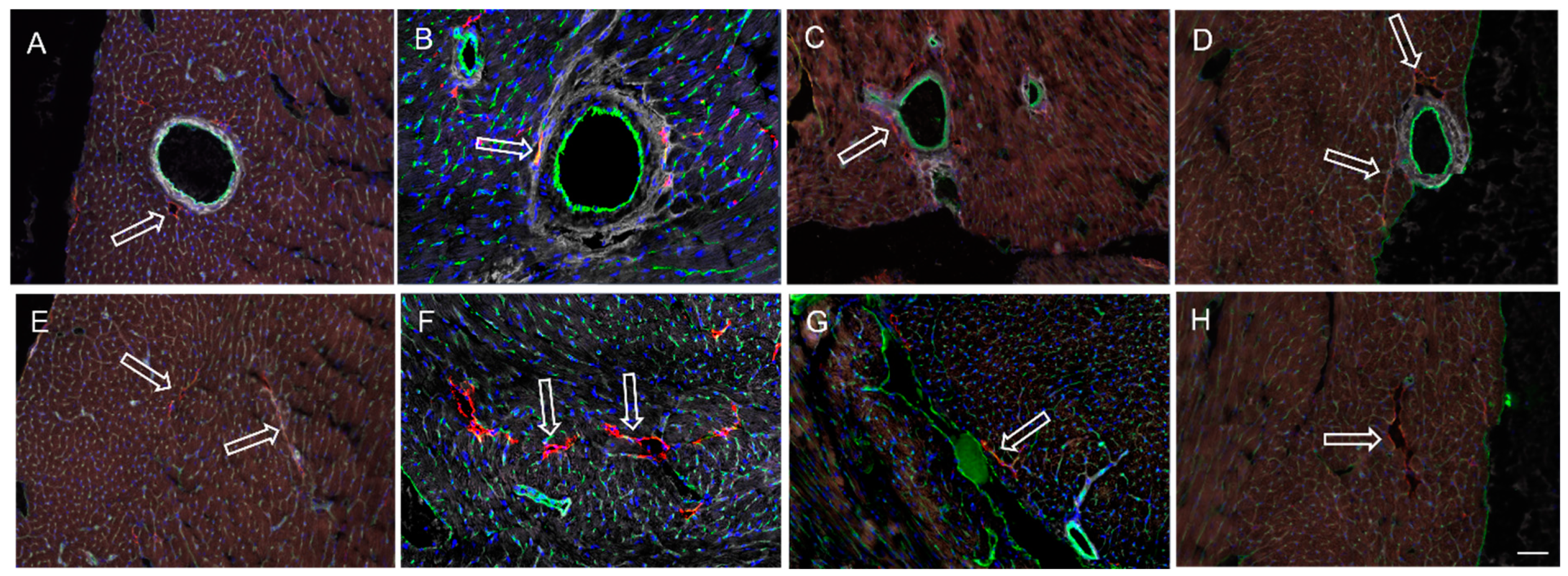 Applsci 14 08675 g008