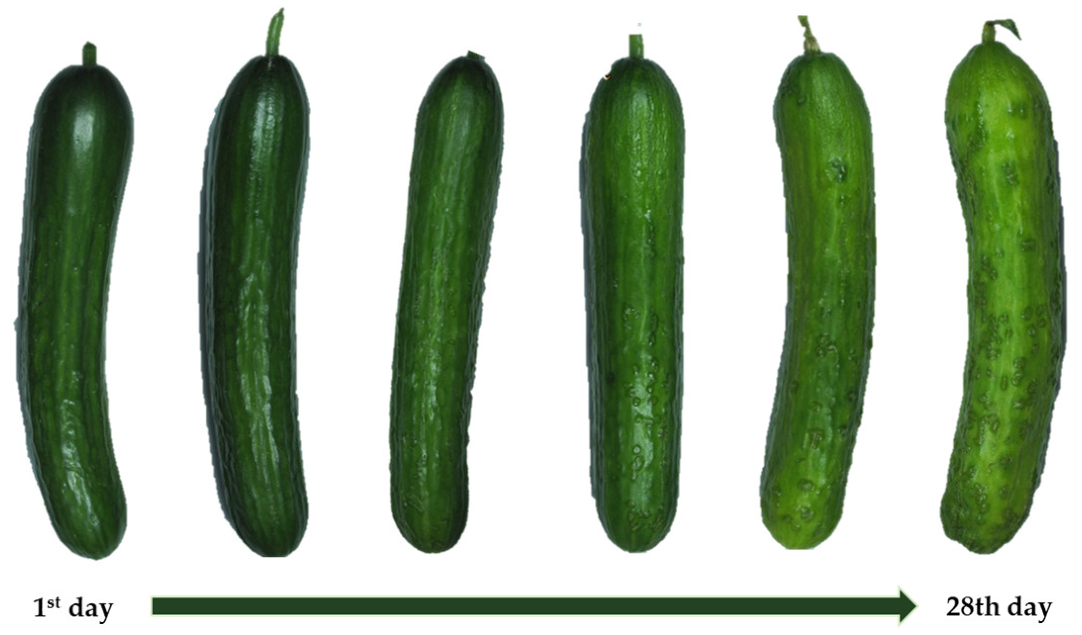 Applsci 14 08676 g002