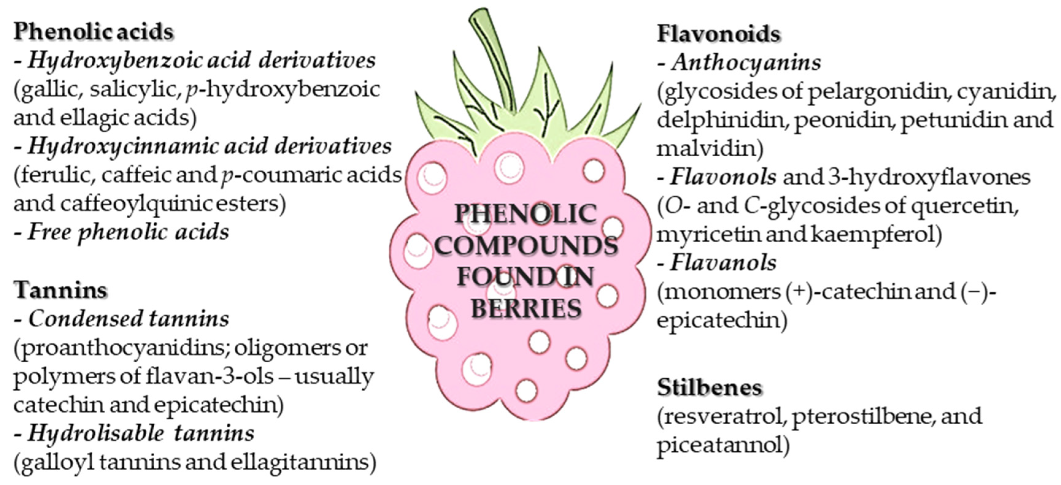 Applsci 14 08713 g001