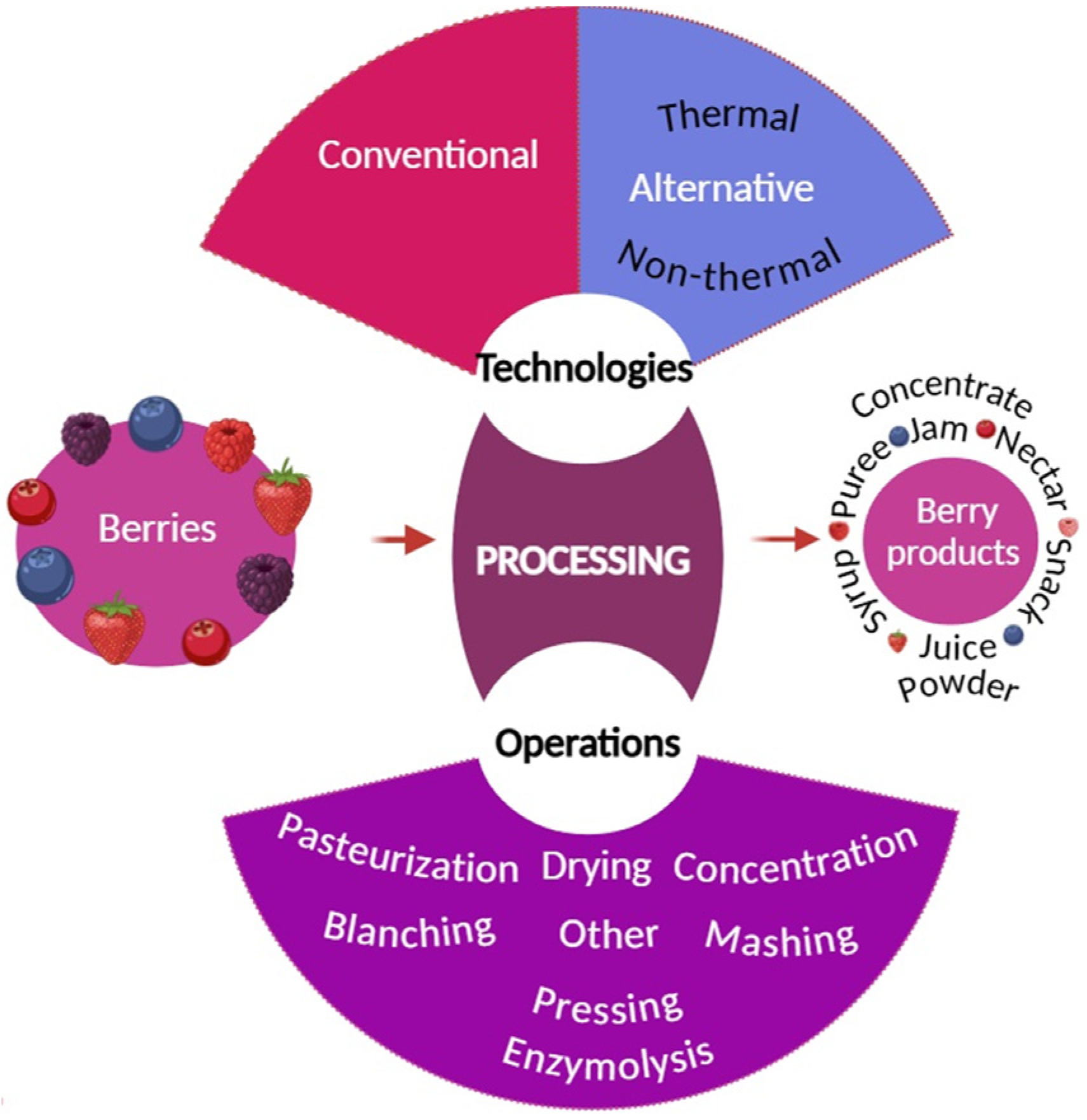 Applsci 14 08713 g002