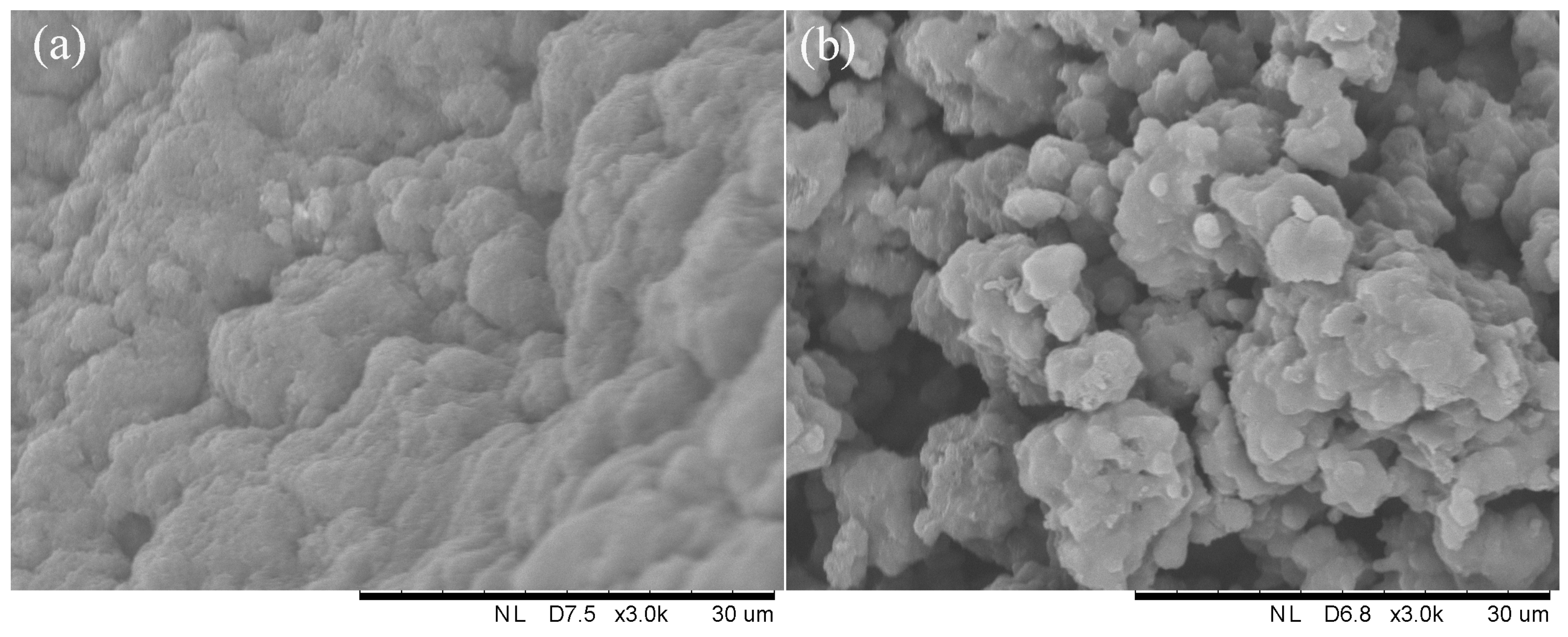 Applsci 14 08743 g003