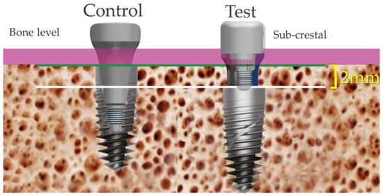 Applsci 14 08756 g002