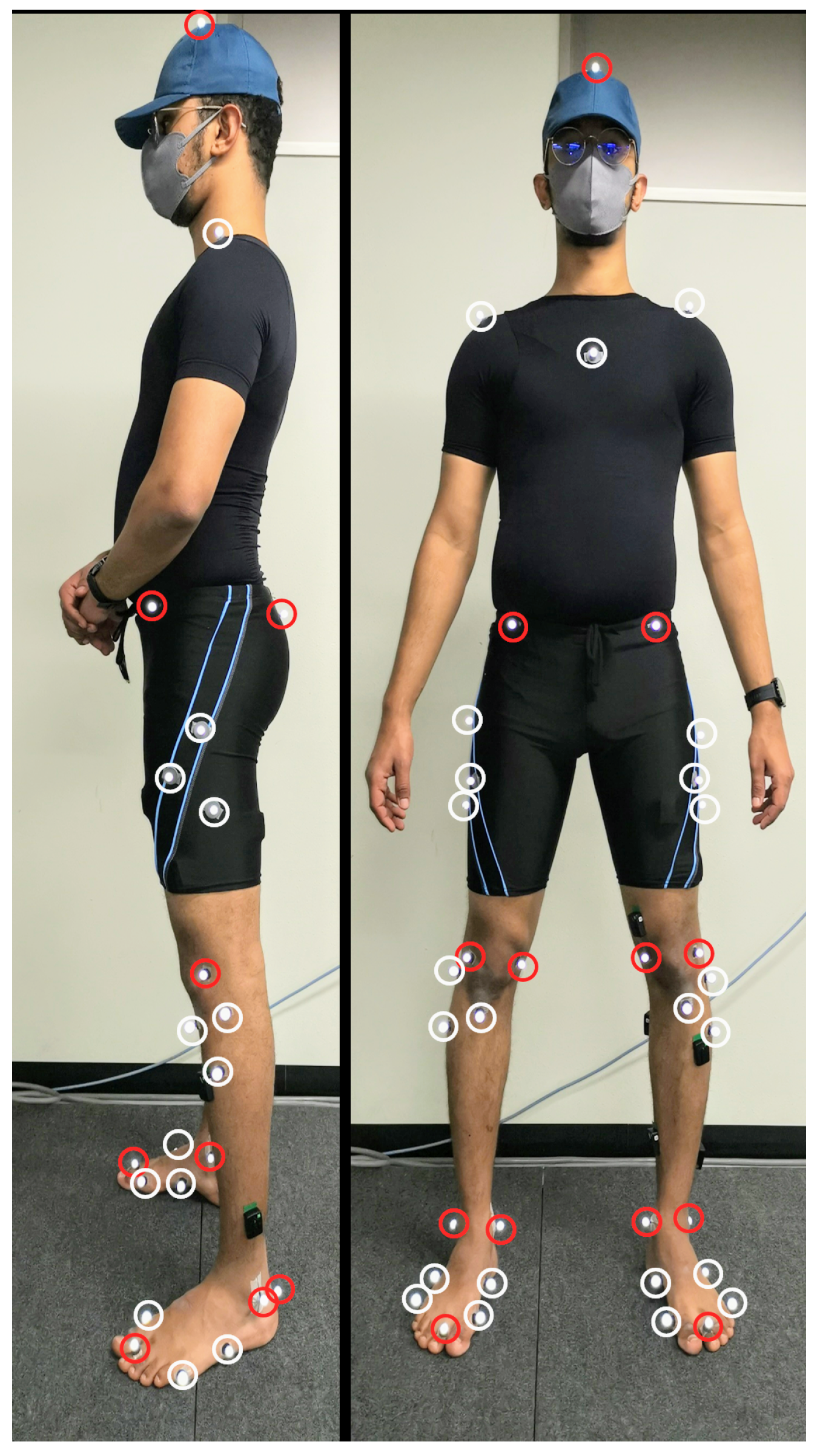 Applsci 14 08795 g001