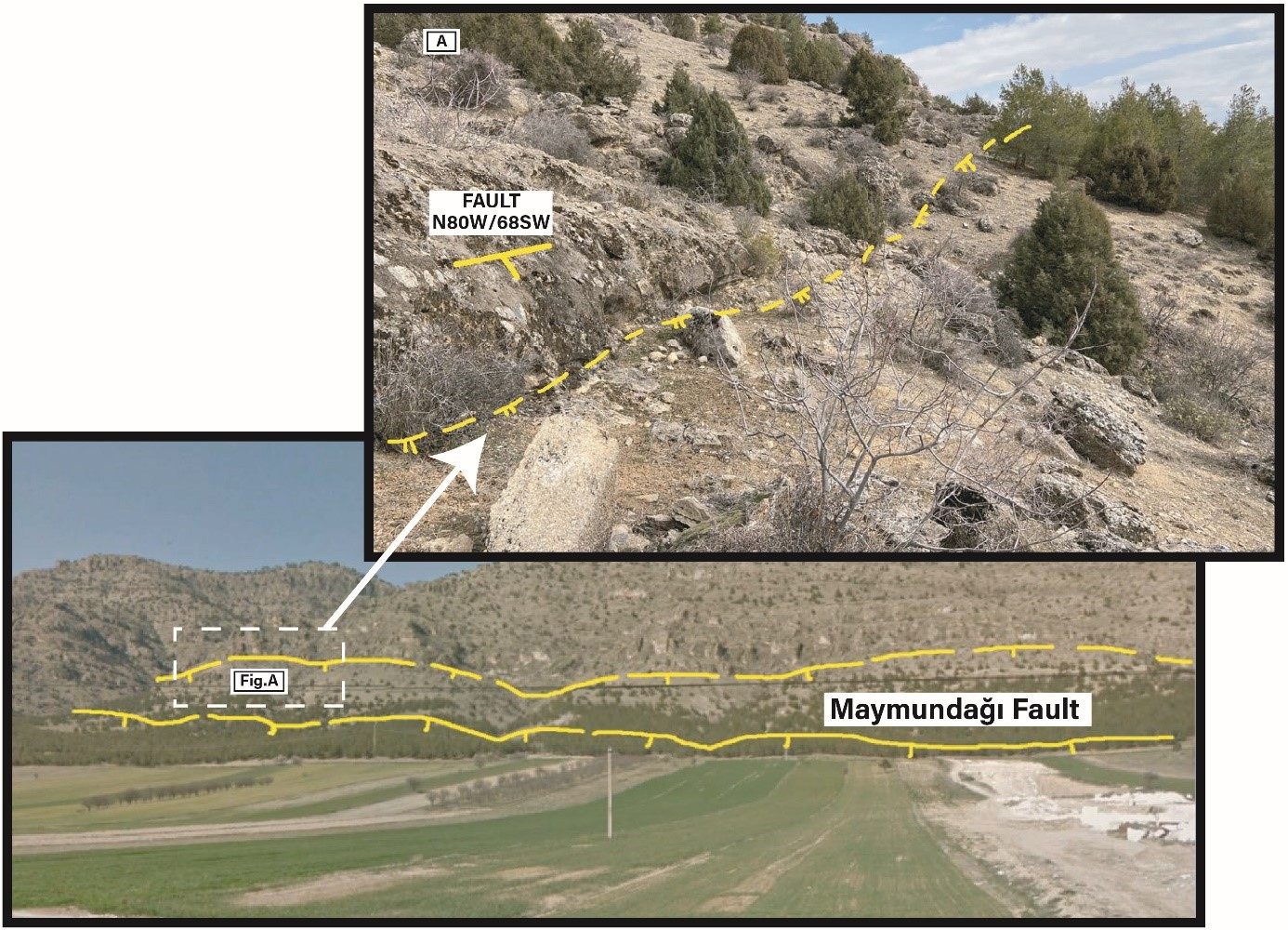 Applsci 14 08852 g007 Applsci 14 08852 g007