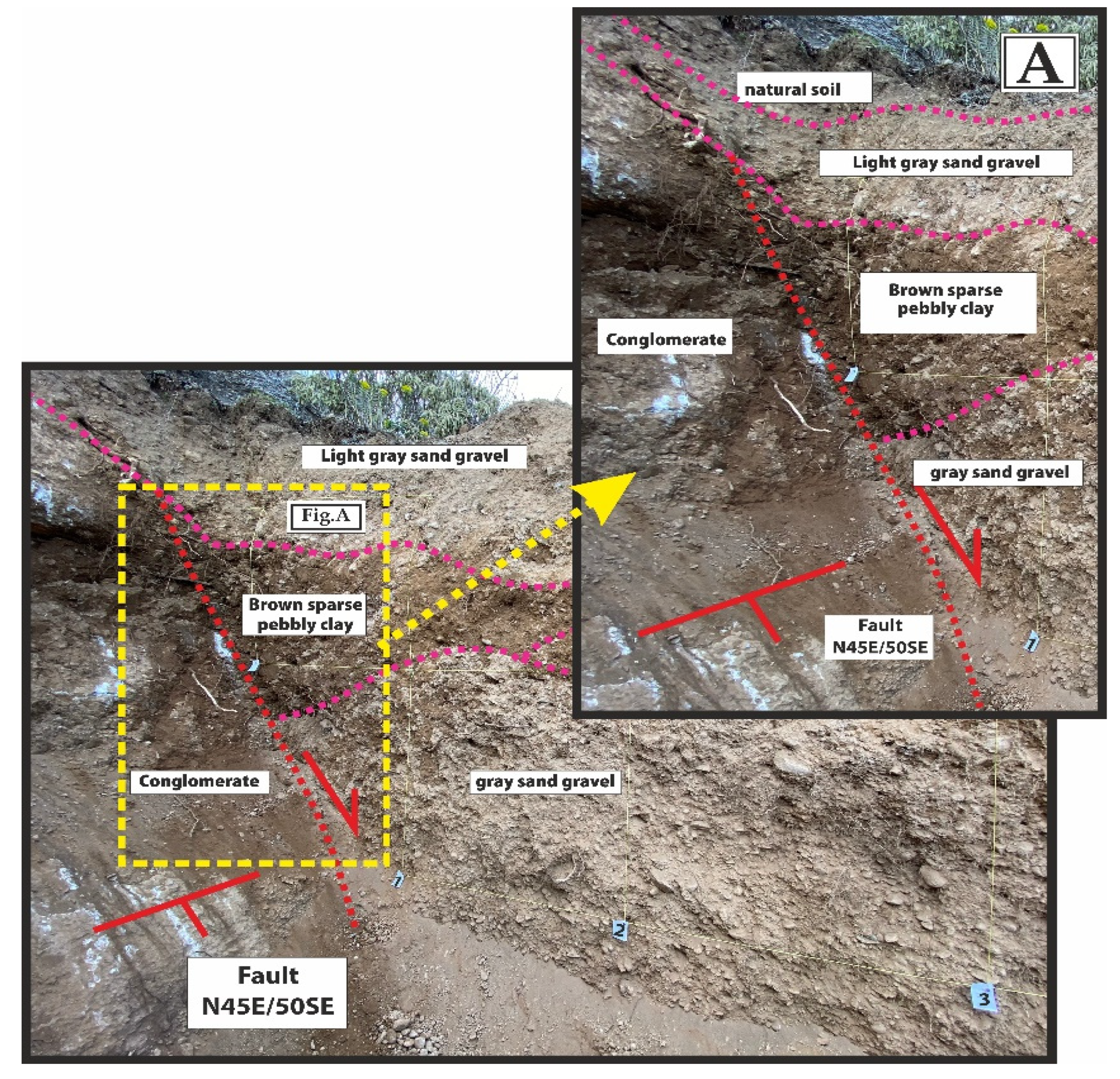 Applsci 14 08852 g020 Applsci 14 08852 g020