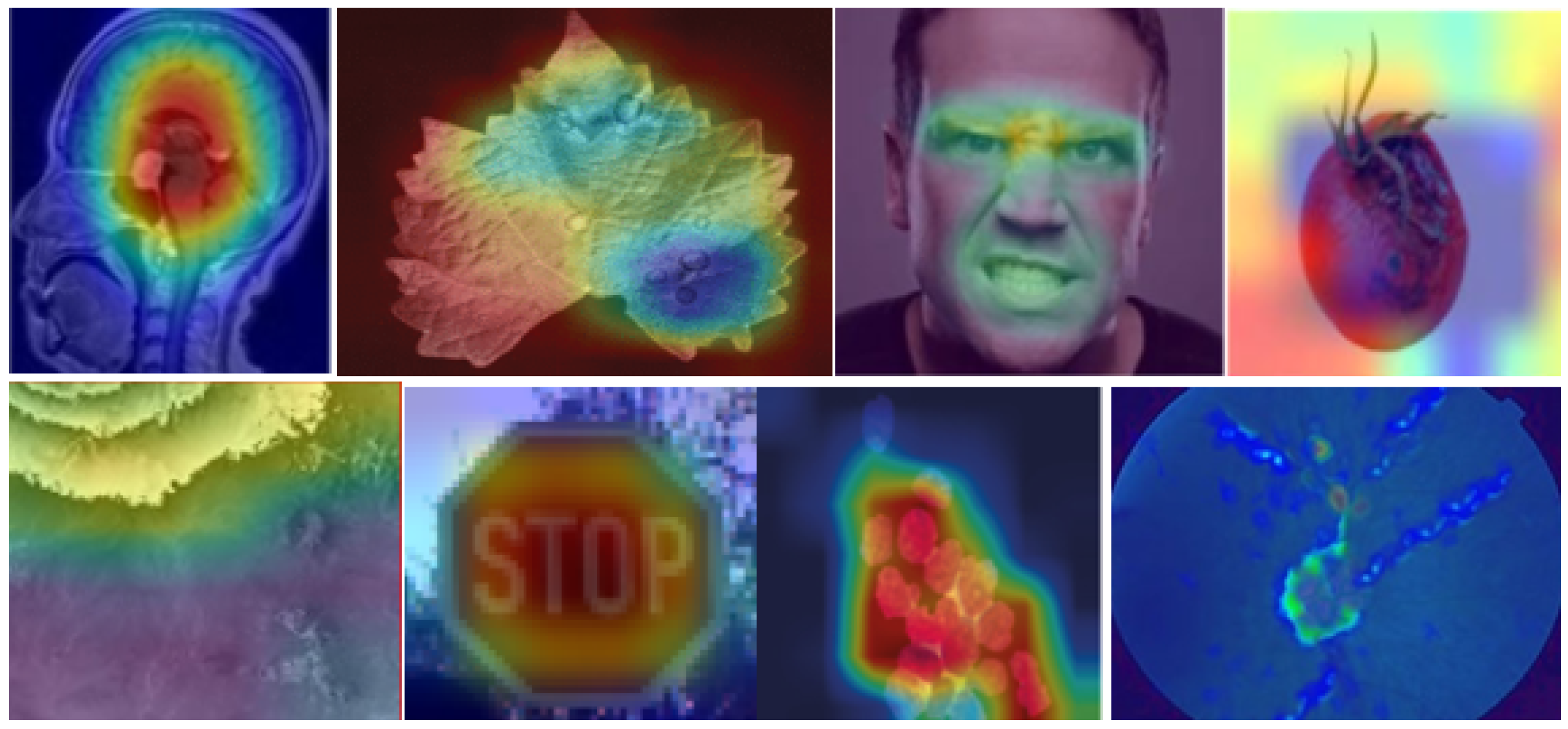 Applsci 14 08884 g004