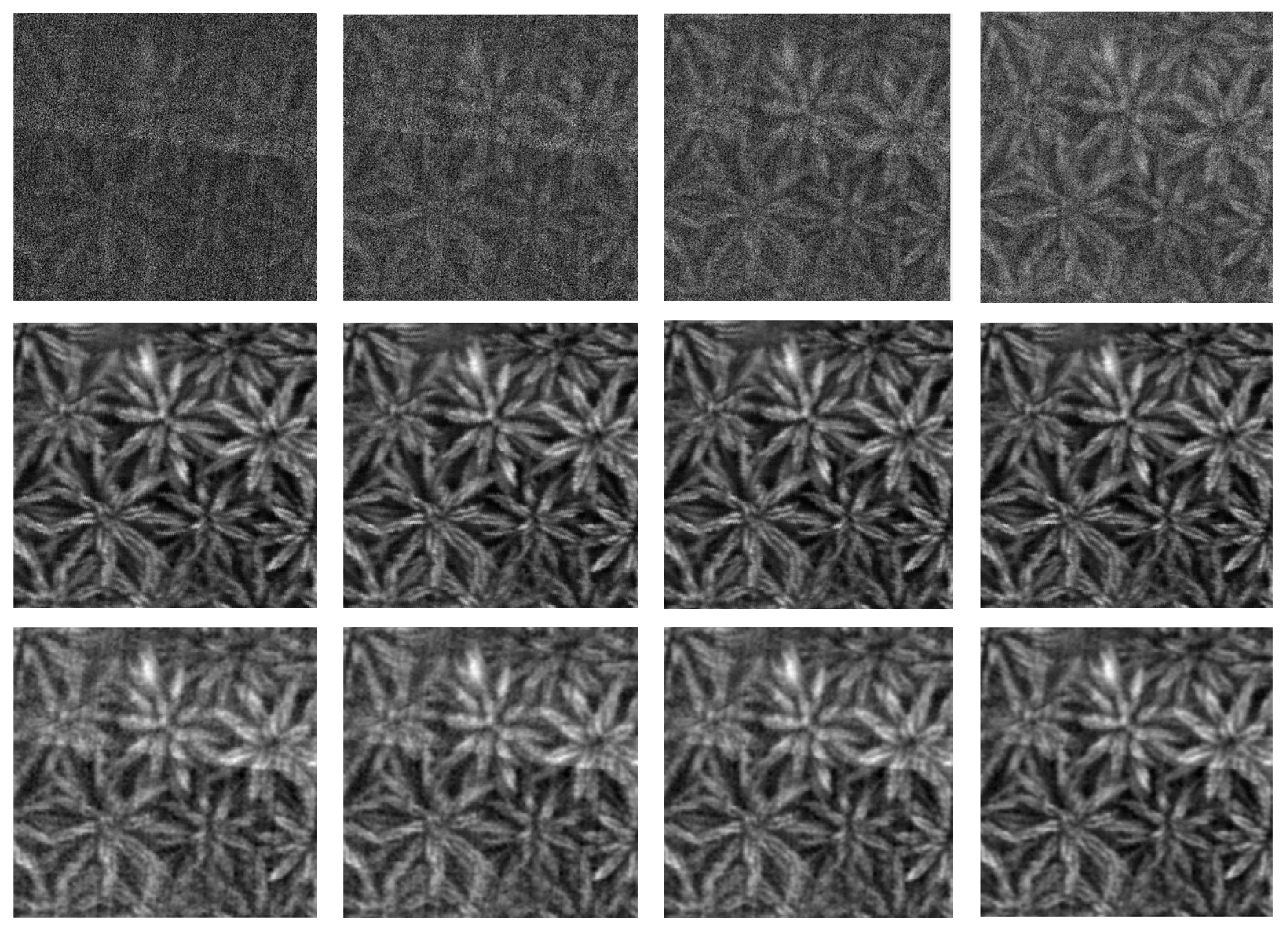 Applsci 14 08895 g005a Applsci 14 08895 g005a