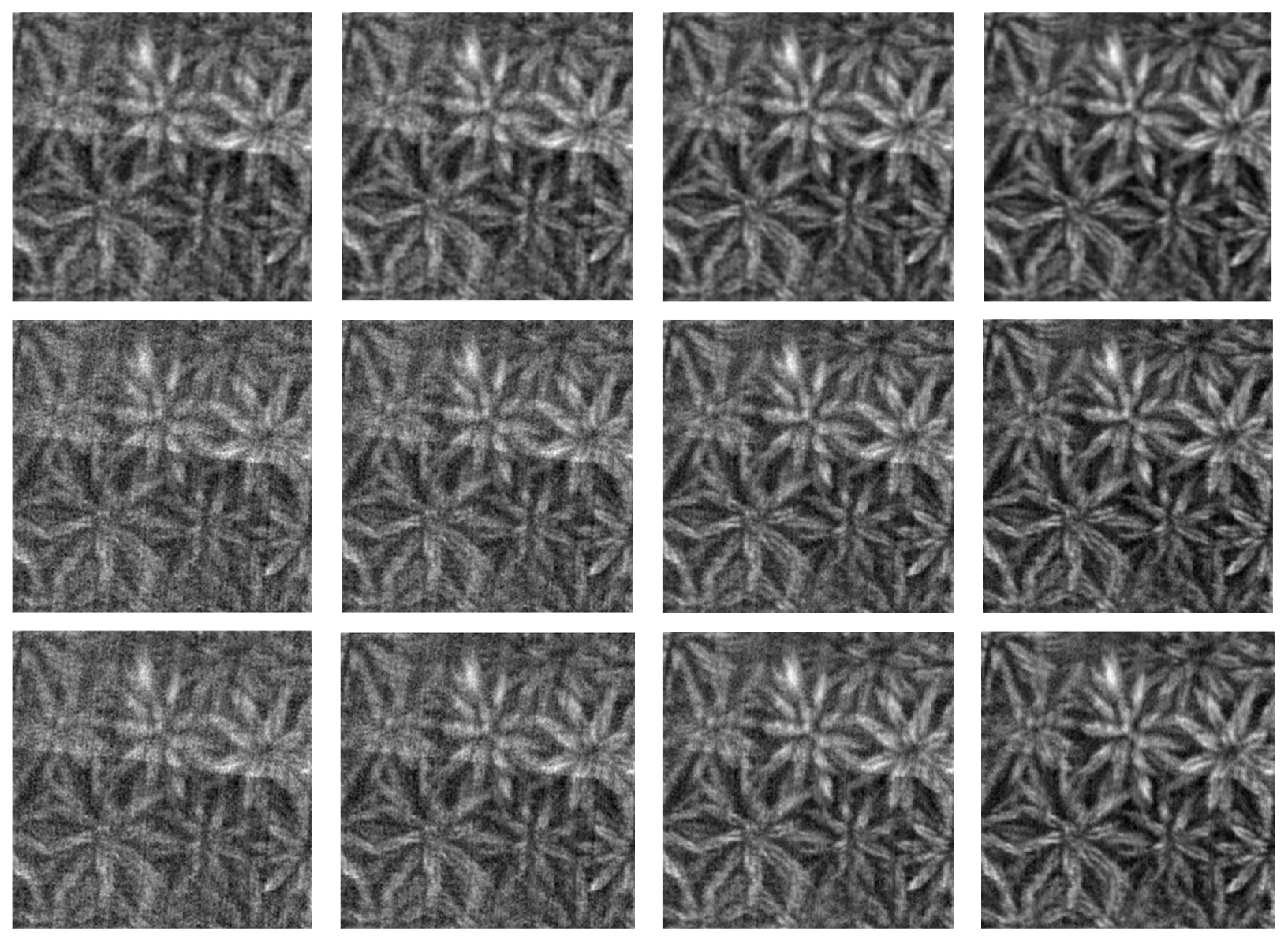 Applsci 14 08895 g005b Applsci 14 08895 g005b