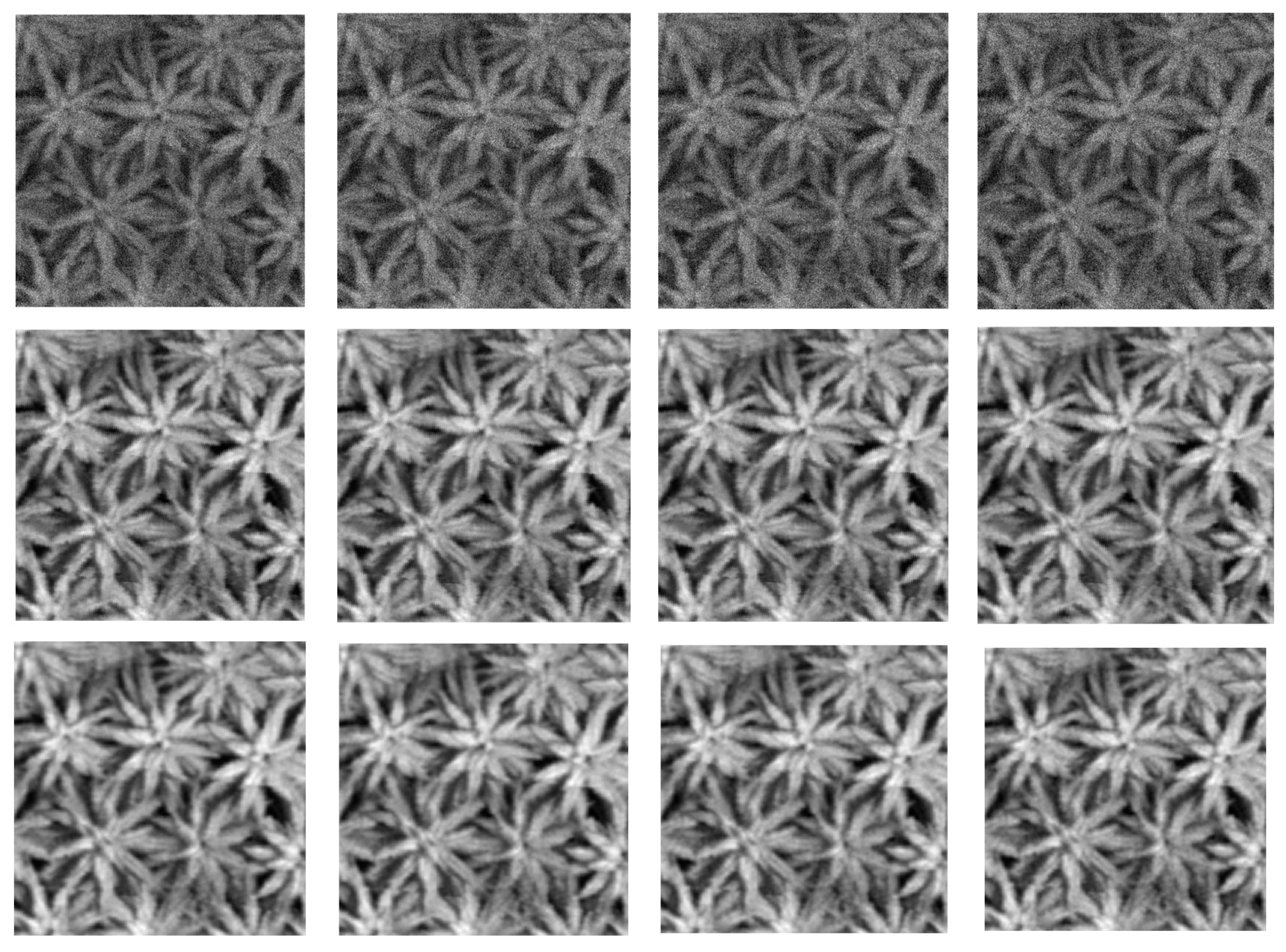 Applsci 14 08895 g006a Applsci 14 08895 g006a