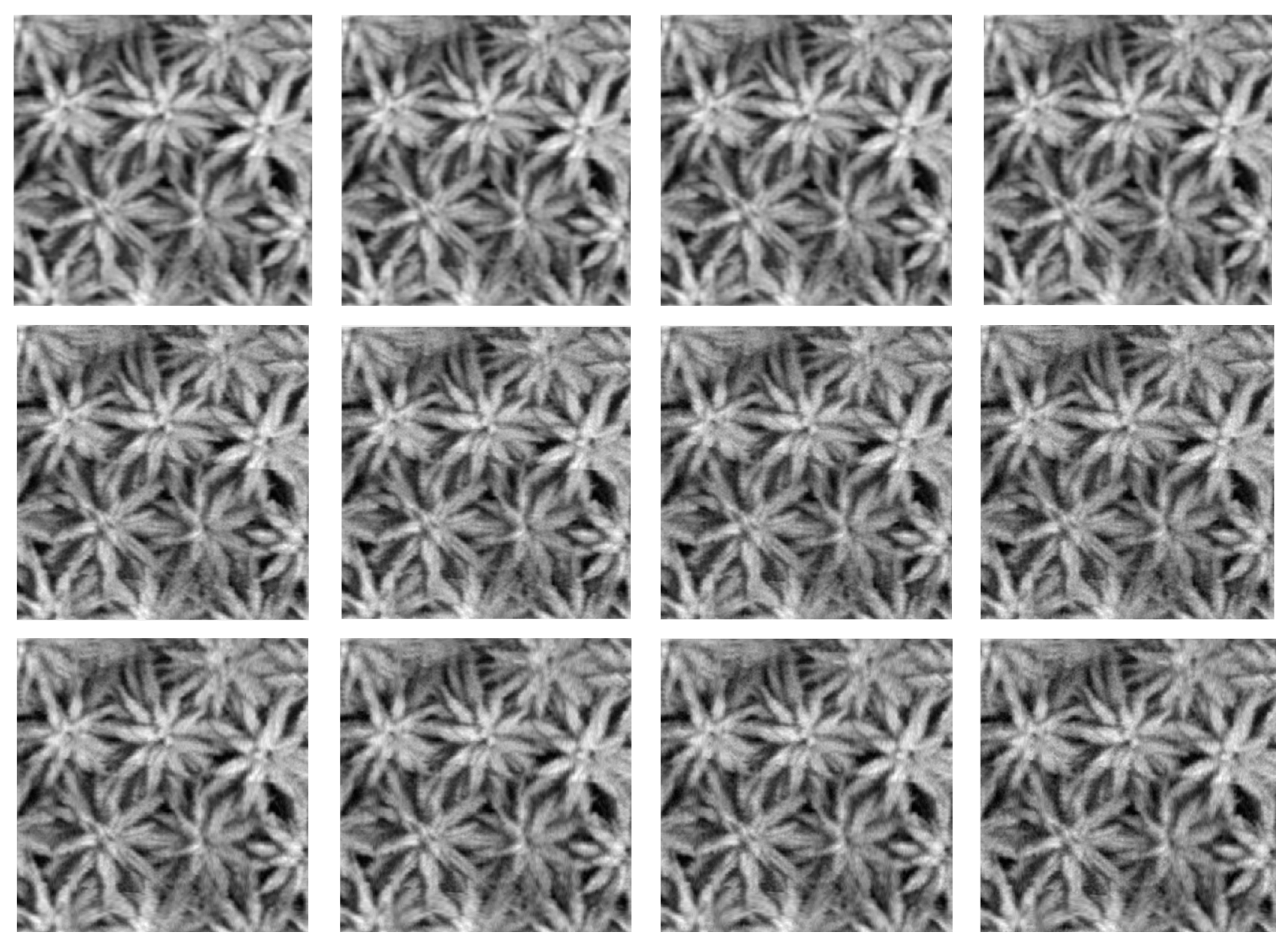 Applsci 14 08895 g006b Applsci 14 08895 g006b