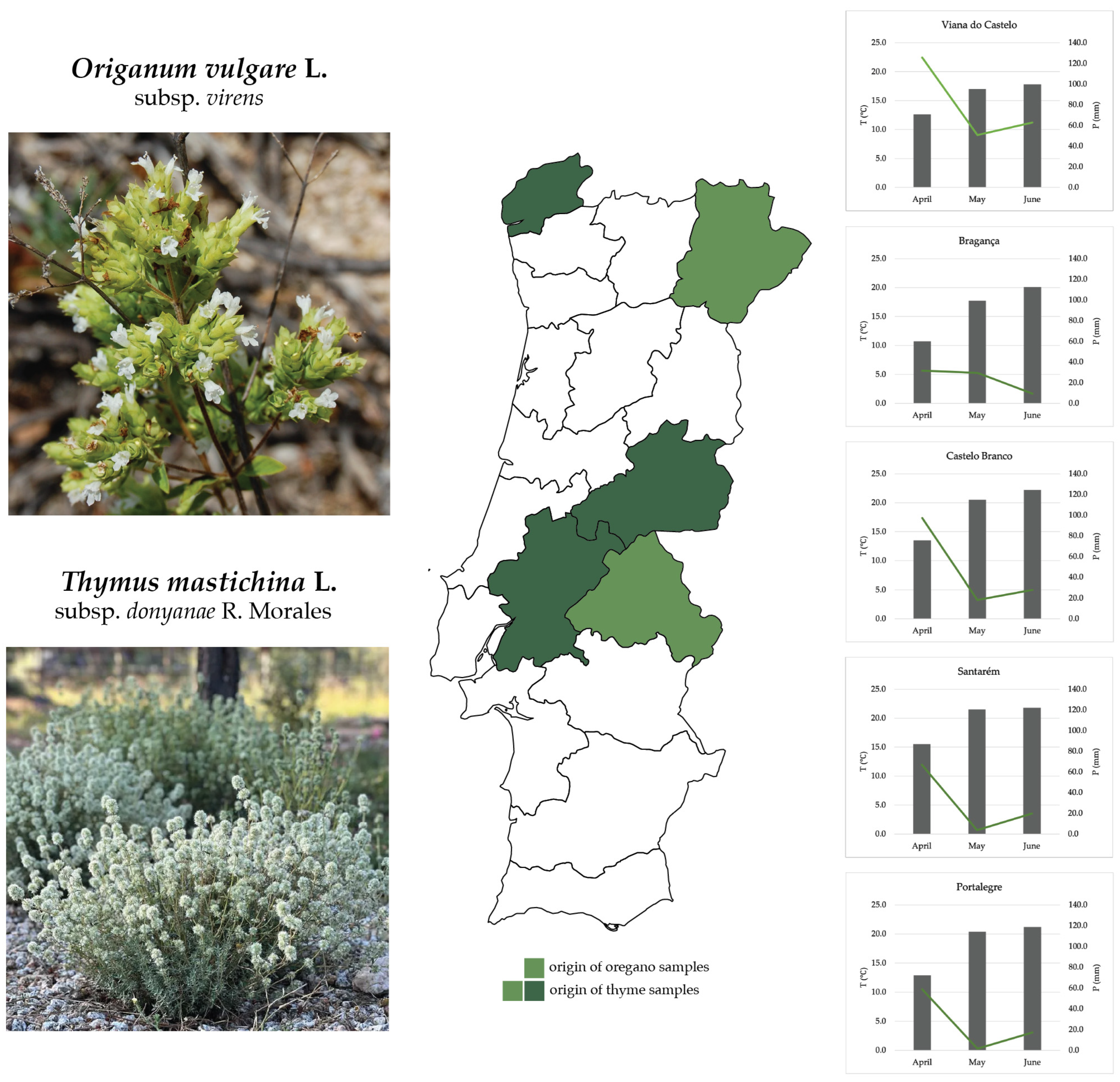 Applsci 14 08924 g001