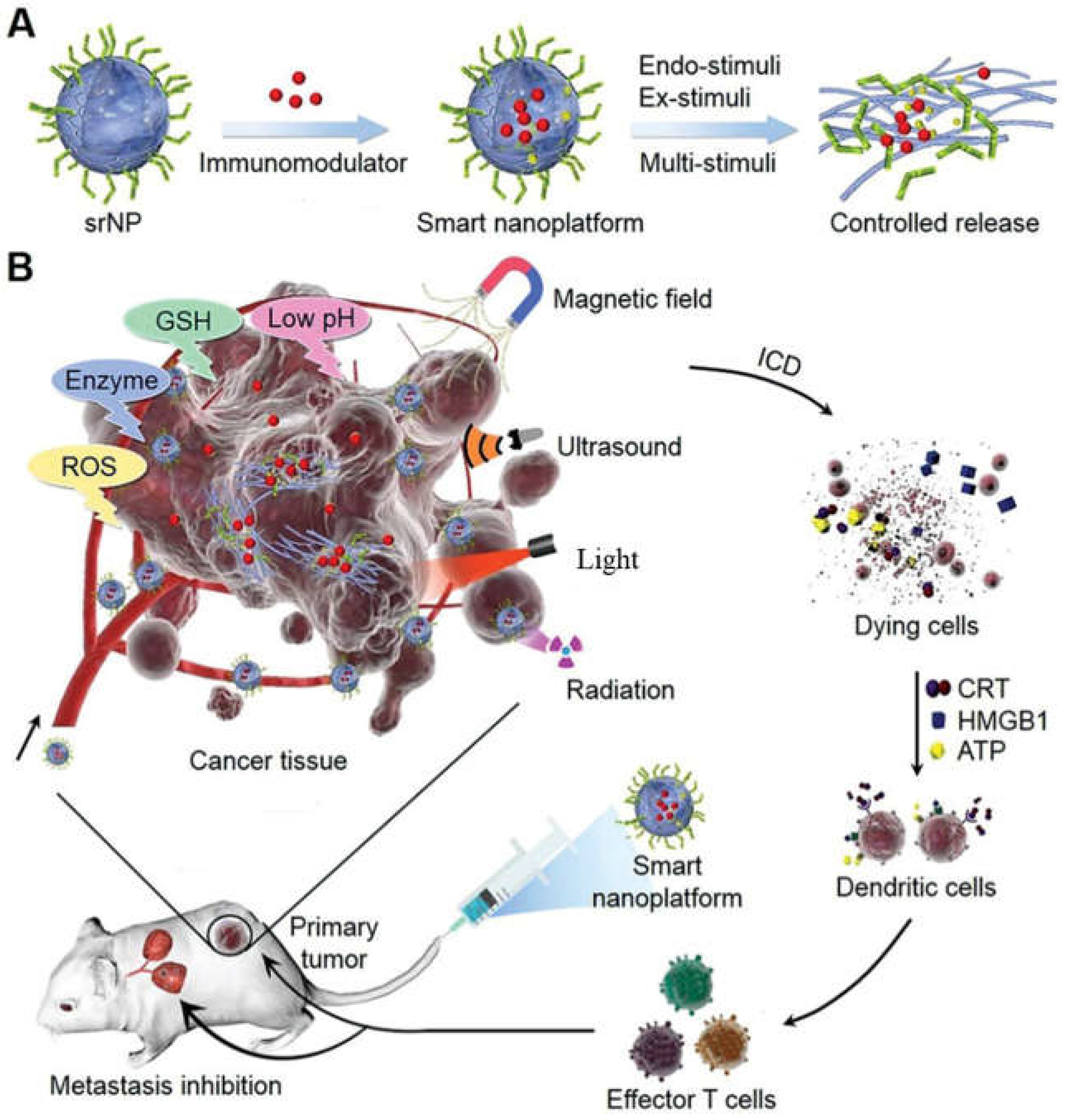 Applsci 14 08948 g003 Applsci 14 08948 g003