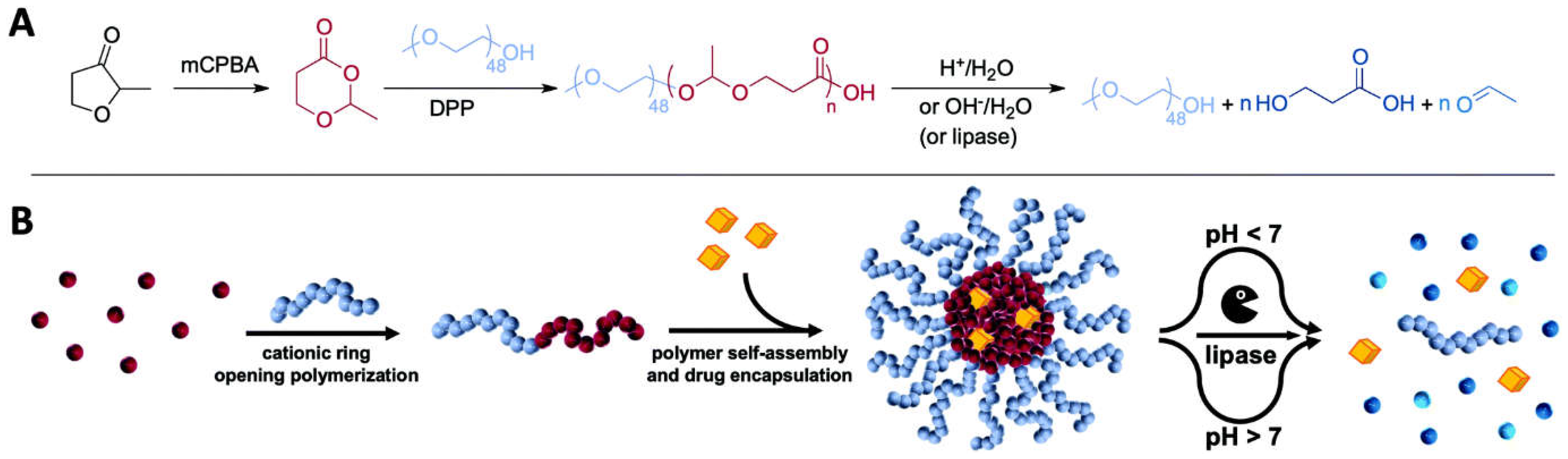 Applsci 14 08948 g004 Applsci 14 08948 g004