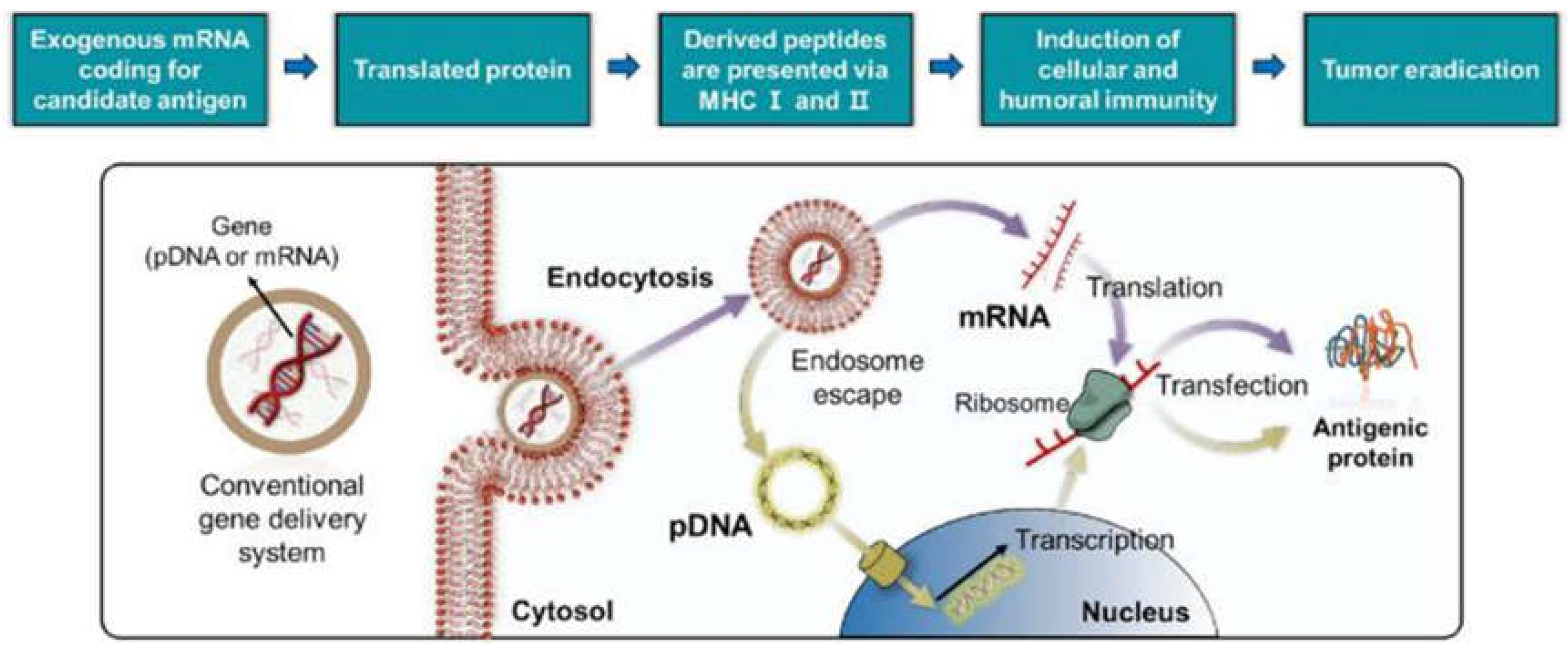 Applsci 14 08948 g005 Applsci 14 08948 g005