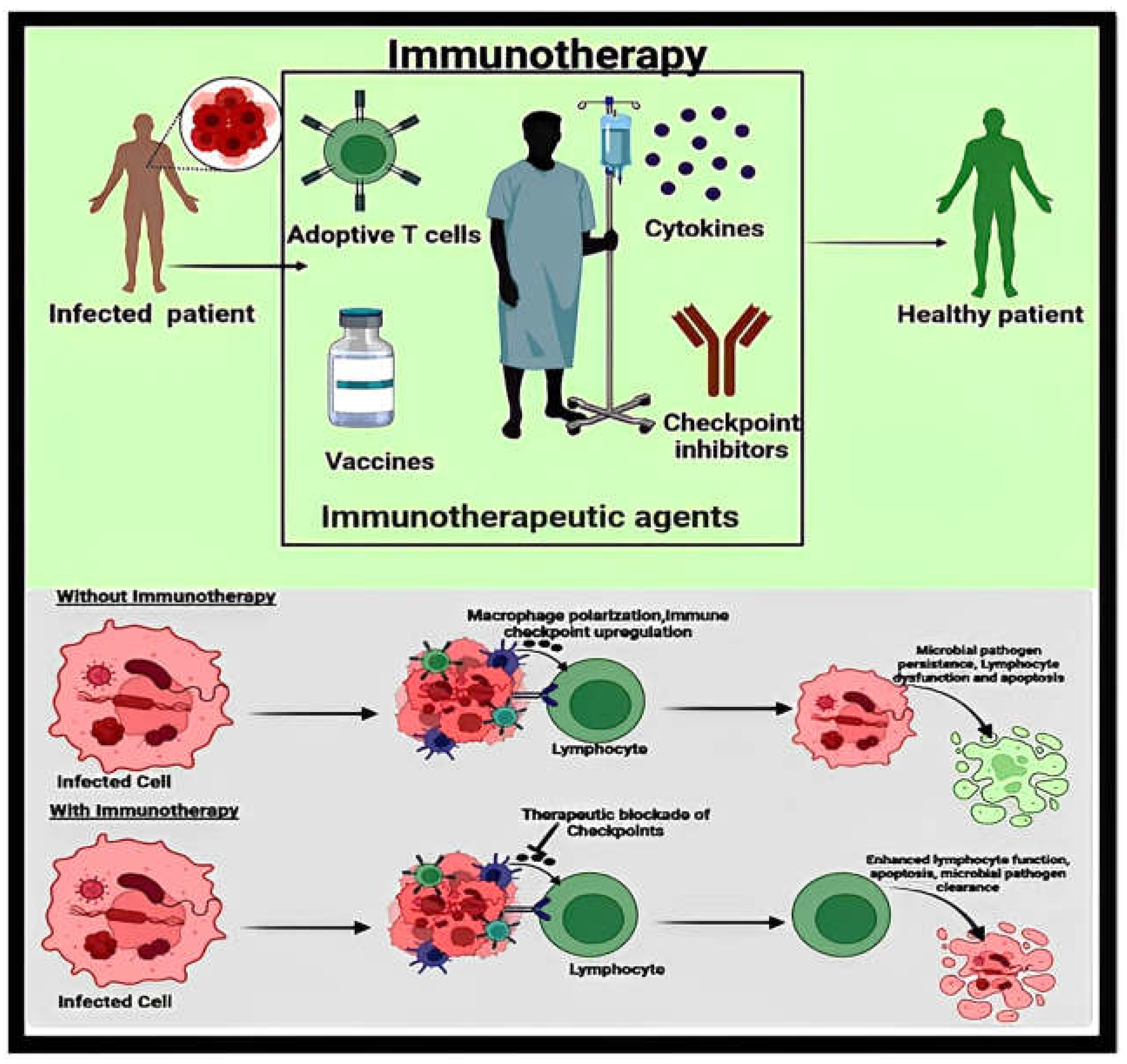Applsci 14 08948 g006 Applsci 14 08948 g006