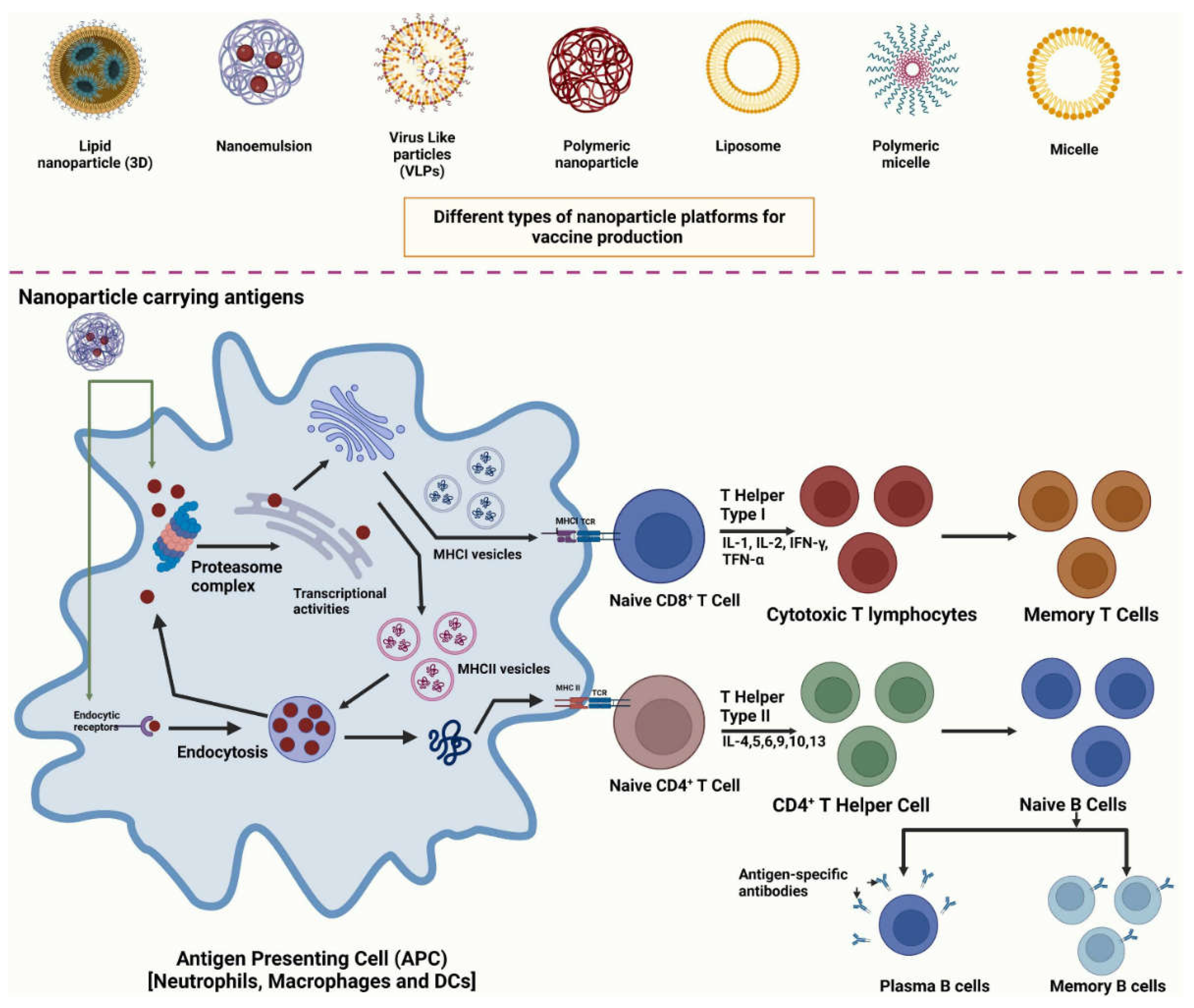 Applsci 14 08948 g007 Applsci 14 08948 g007