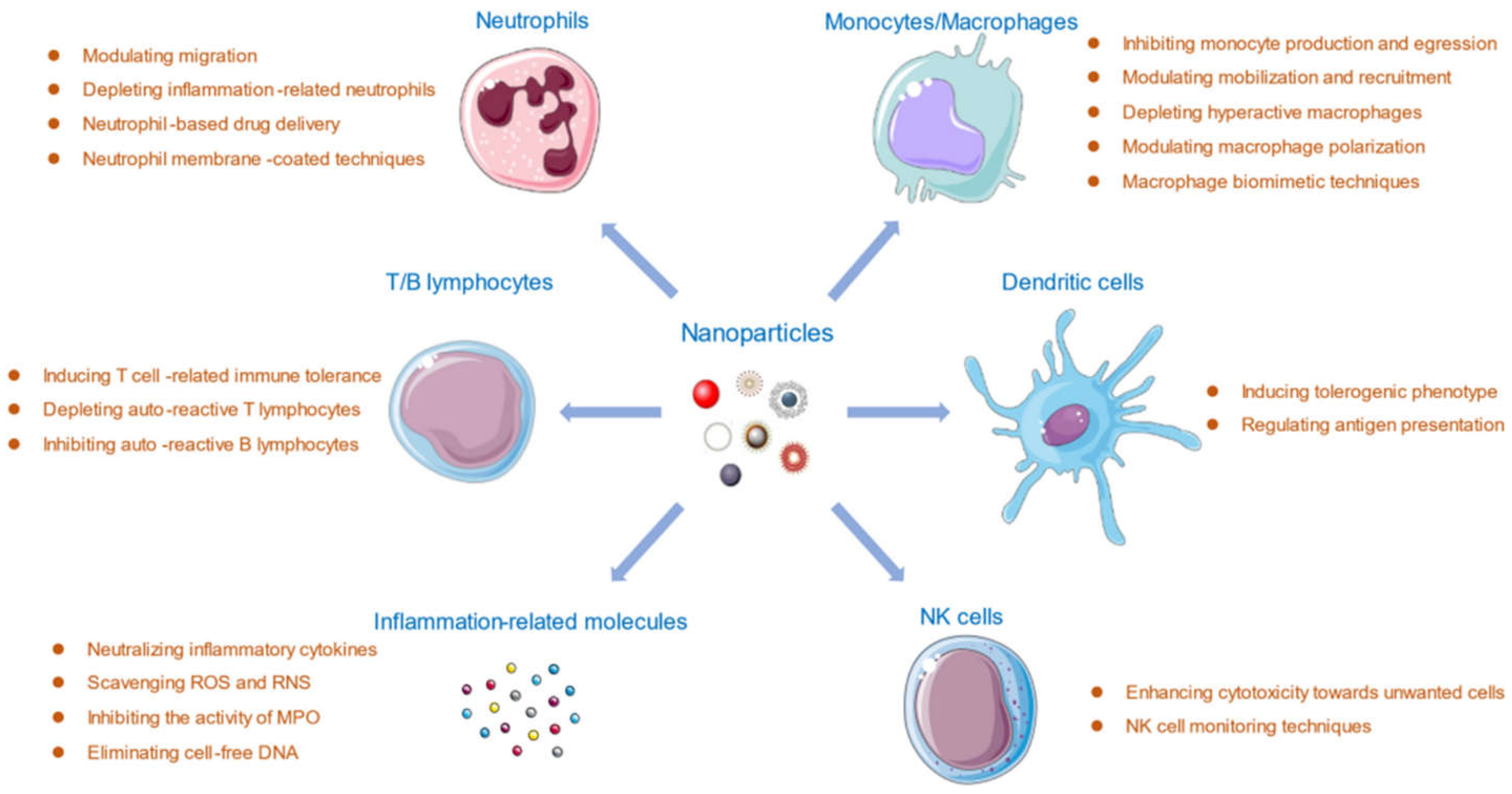 Applsci 14 08948 g008 Applsci 14 08948 g008