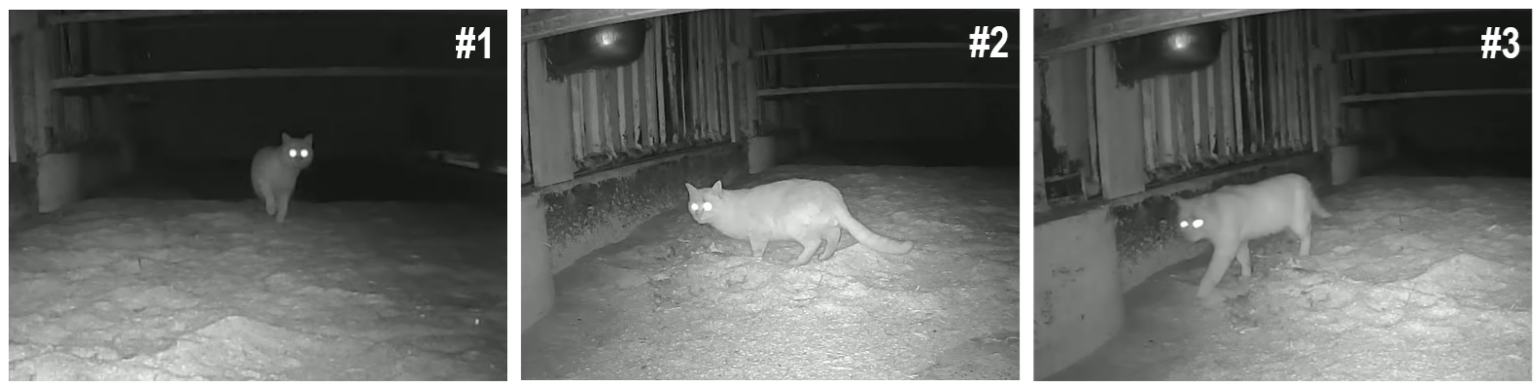 Applsci 14 08955 g020