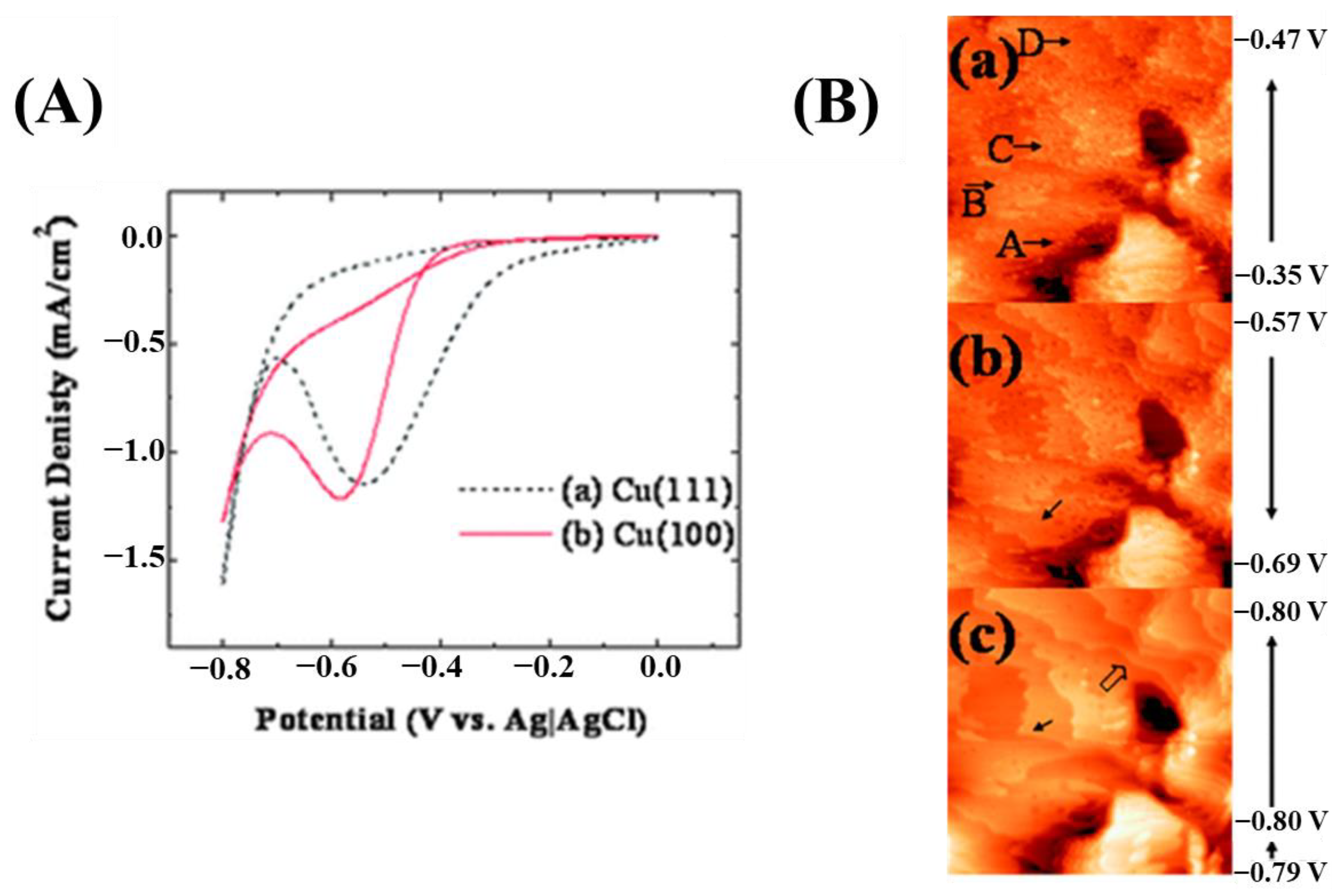 Applsci 14 08986 g011