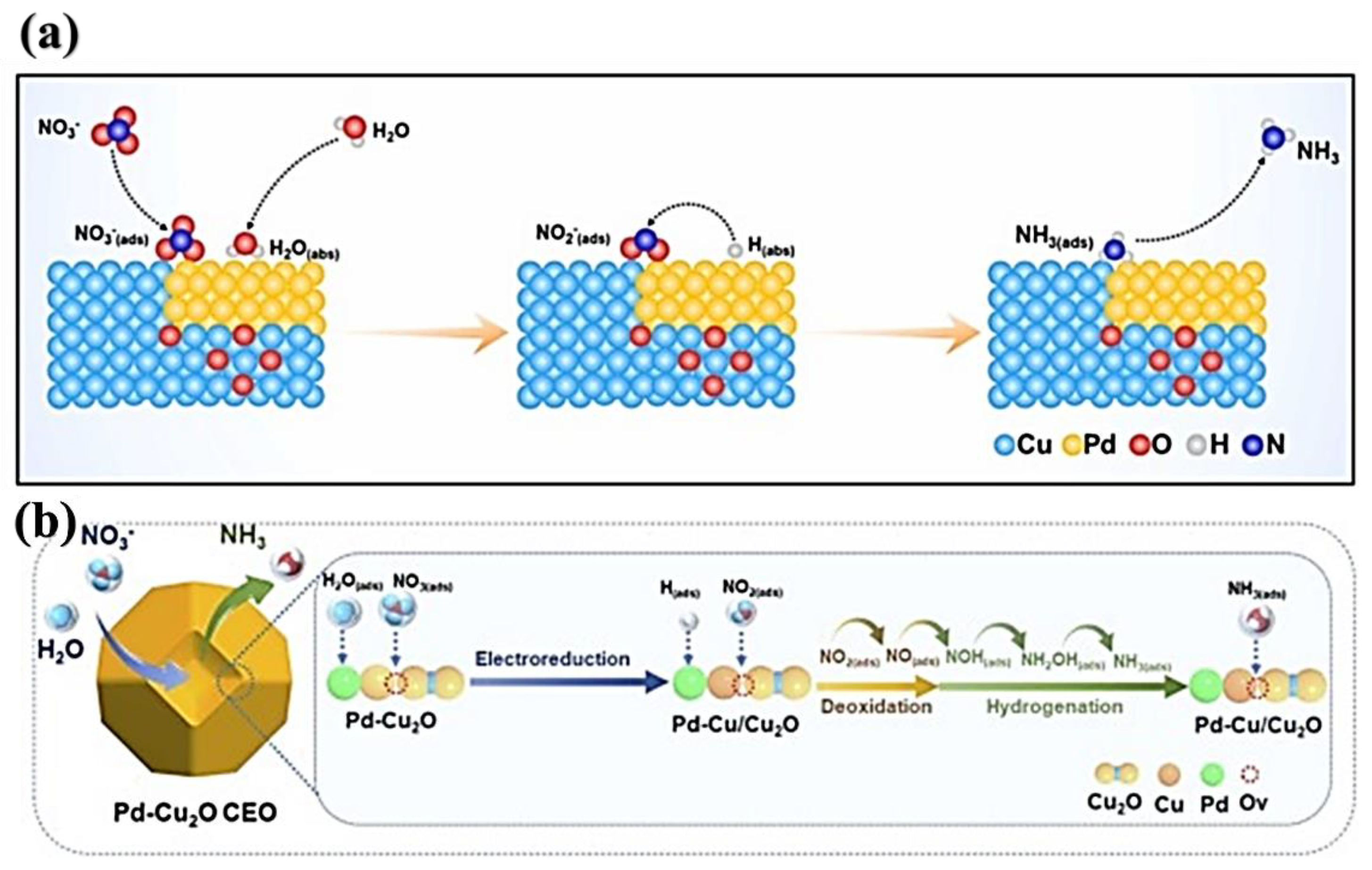 Applsci 14 08986 g013