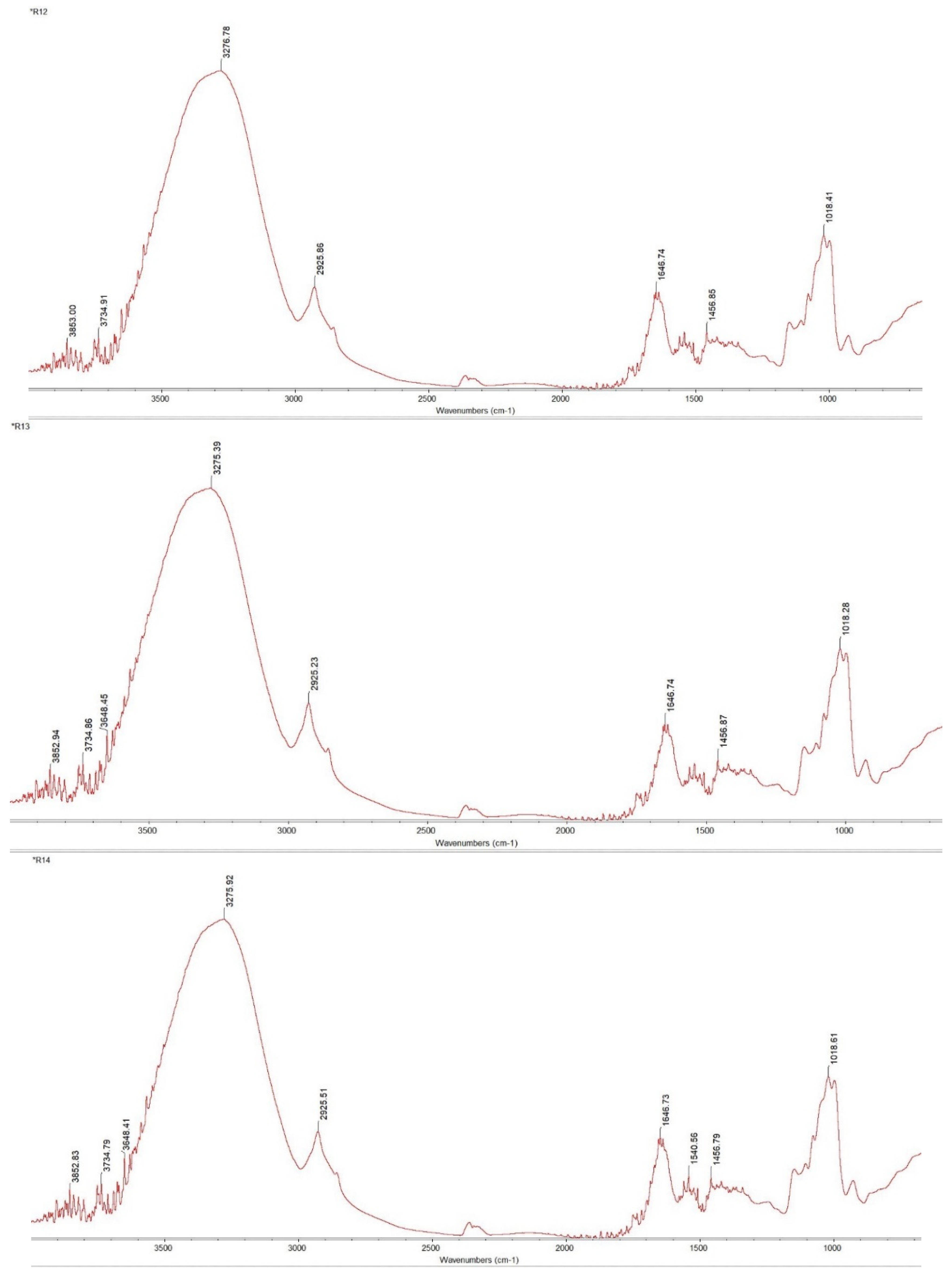 Applsci 14 09009 g009e