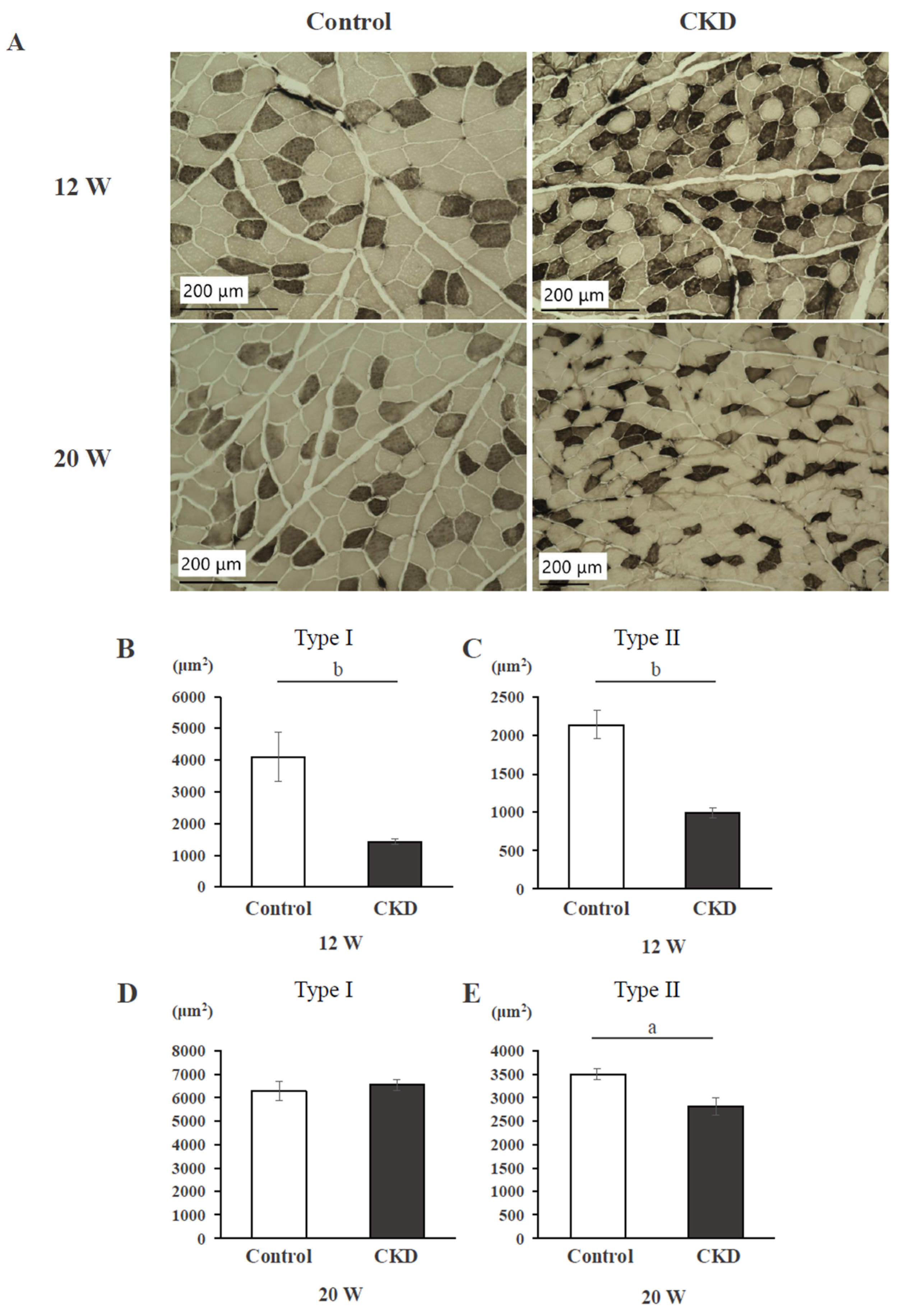 Applsci 14 09106 g001