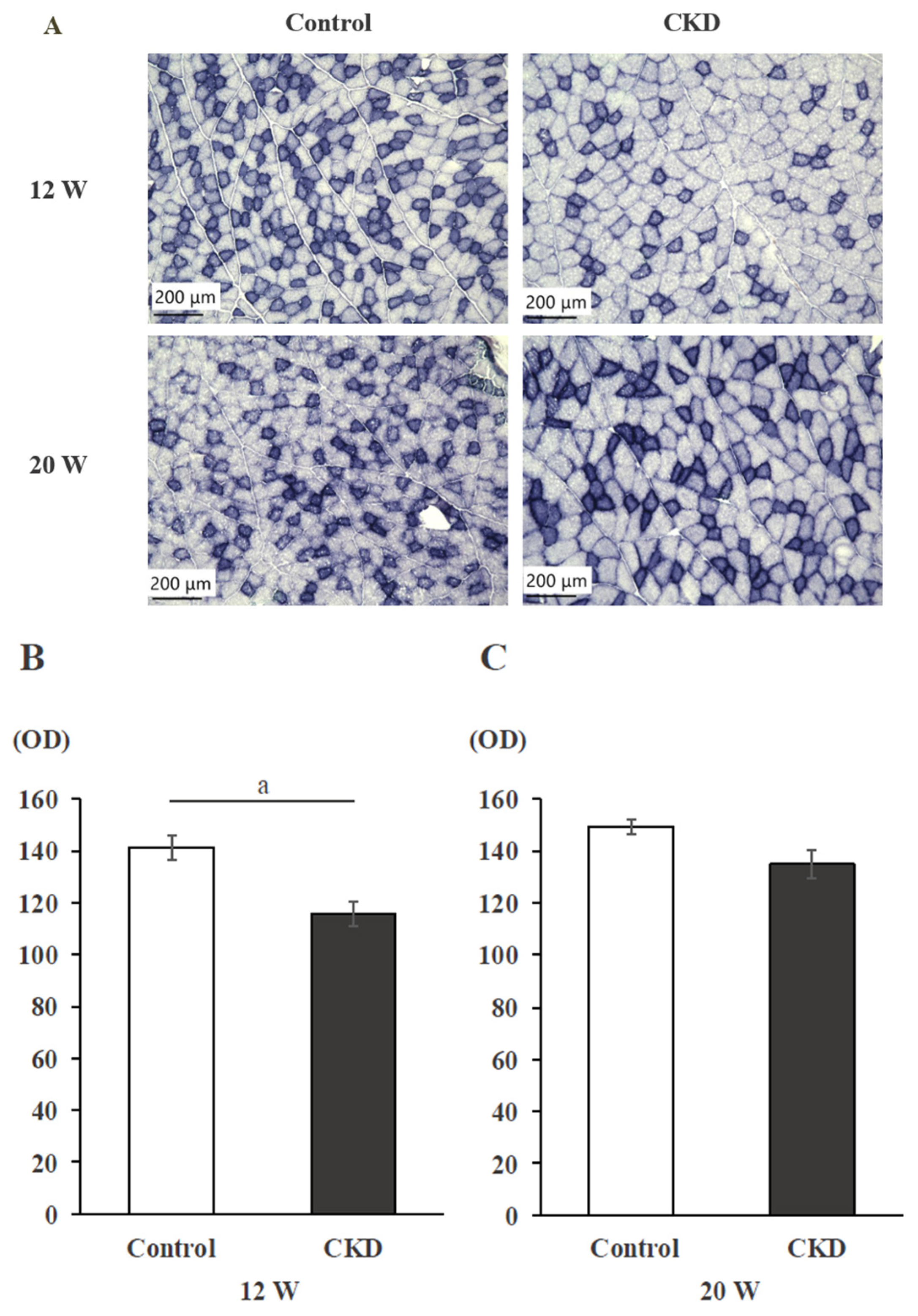 Applsci 14 09106 g002a