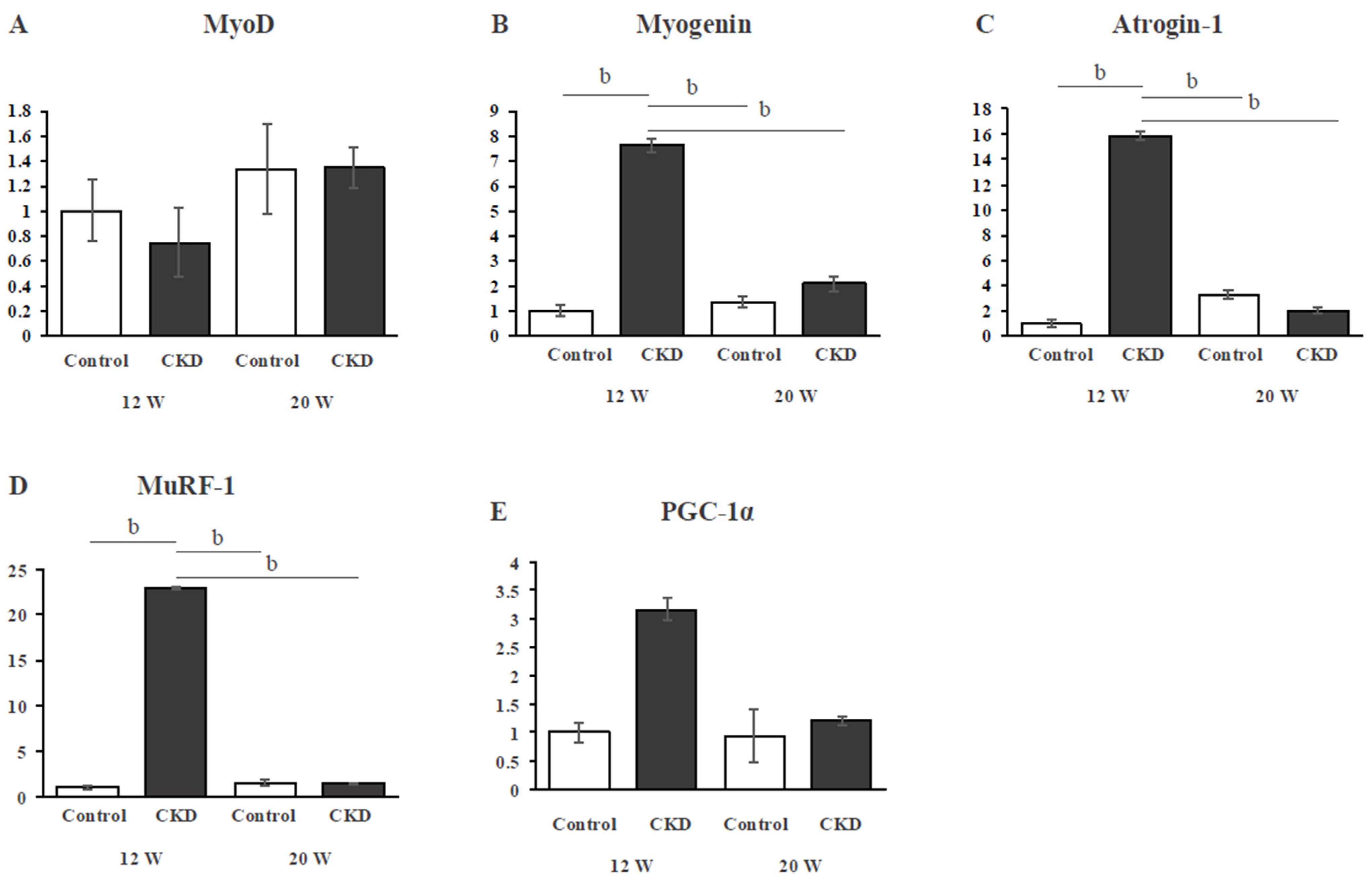 Applsci 14 09106 g004
