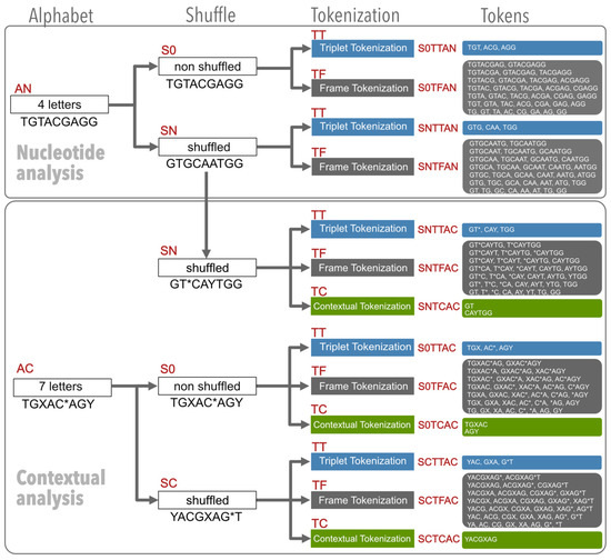Applsci 14 09176 g001