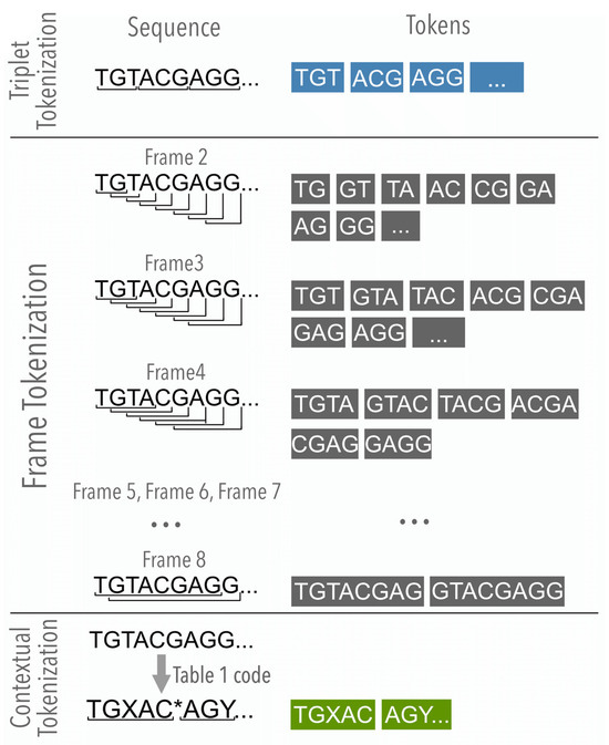 Applsci 14 09176 g002