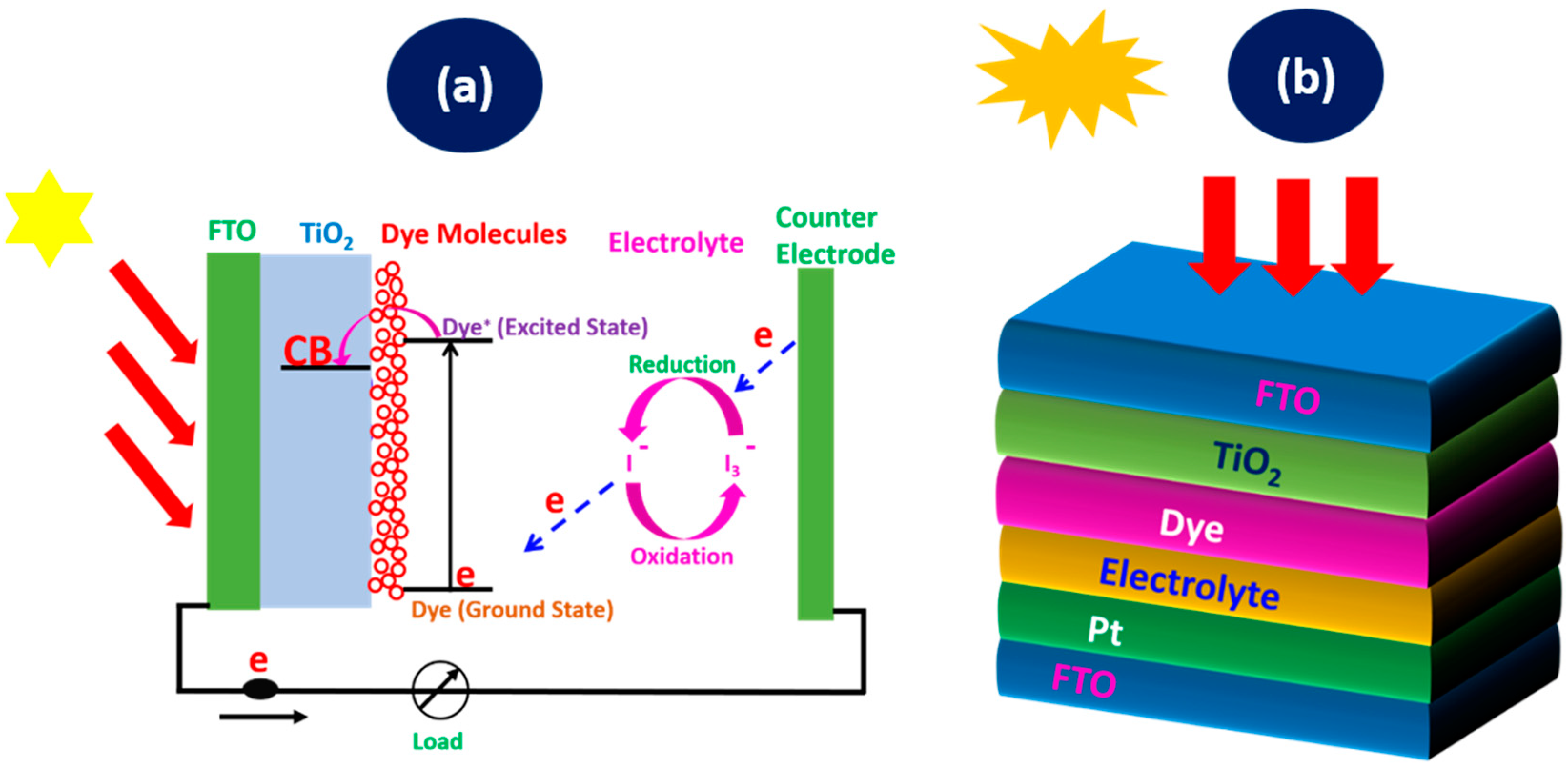 Applsci 14 09202 g001