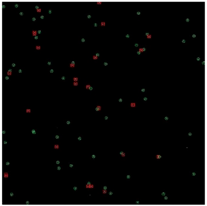 Applsci 14 09207 i004