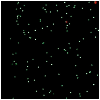 Applsci 14 09207 i008