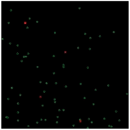 Applsci 14 09207 i023