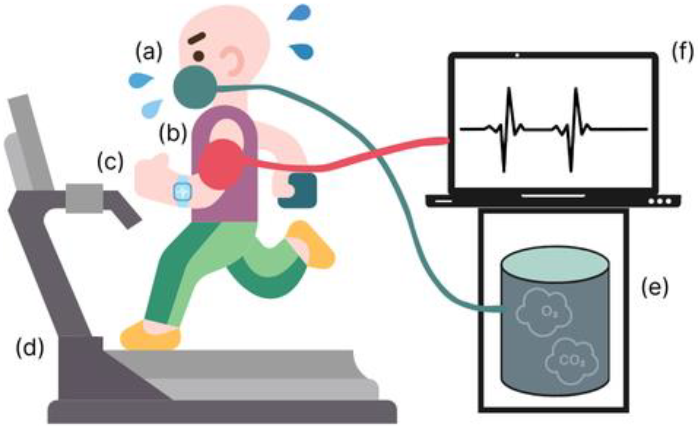 Applsci 14 09216 g002