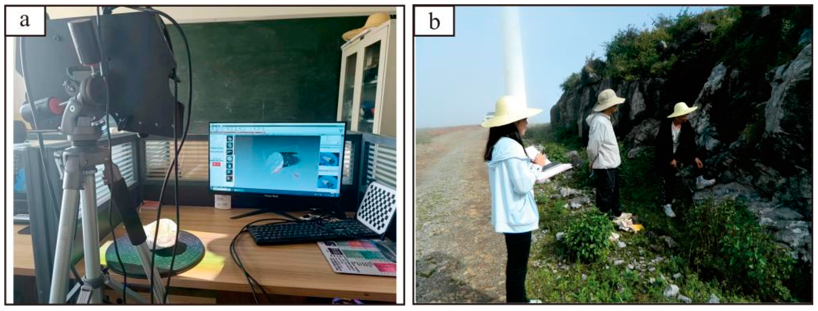 Applsci 14 09247 g001