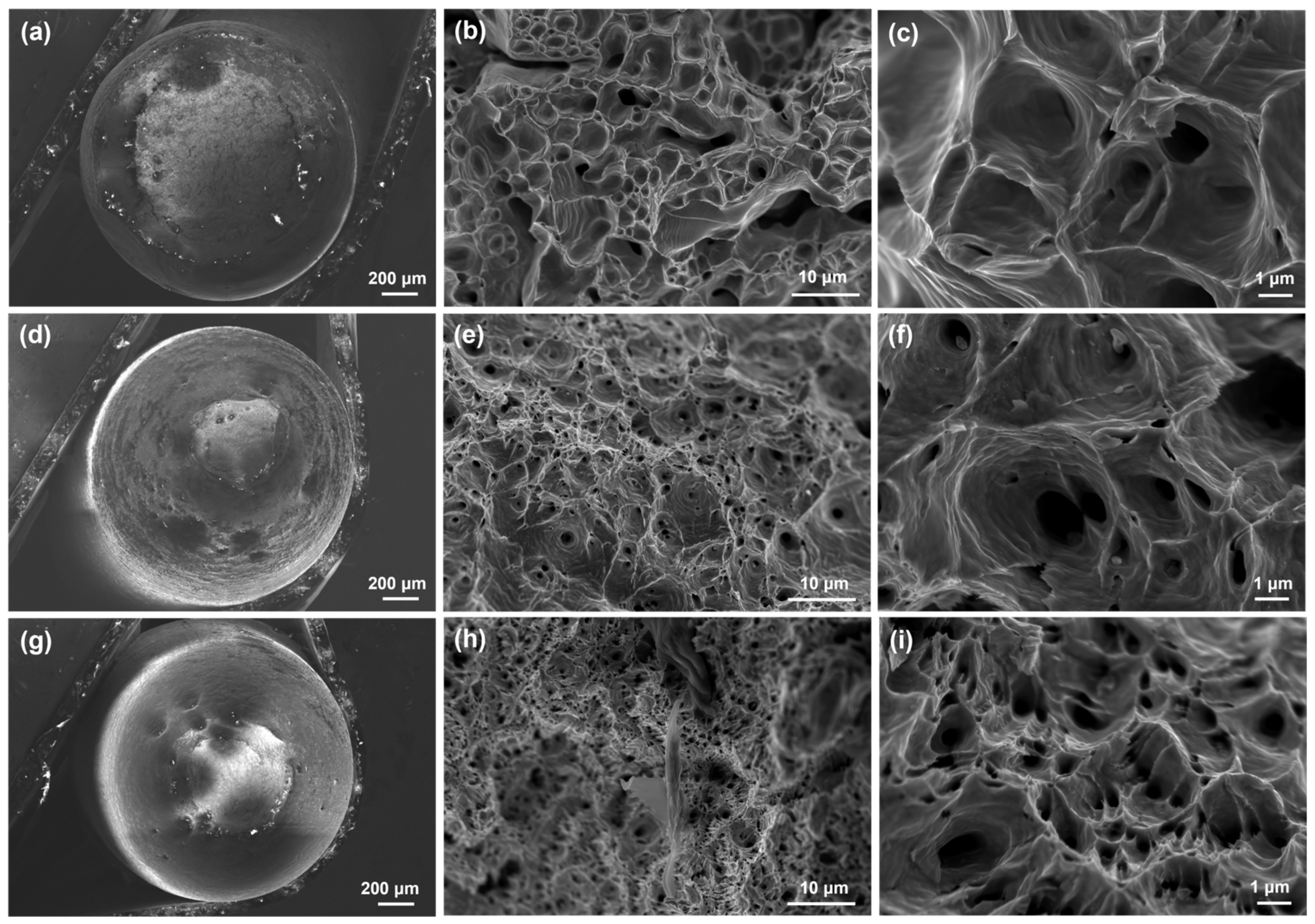 Applsci 14 09273 g010