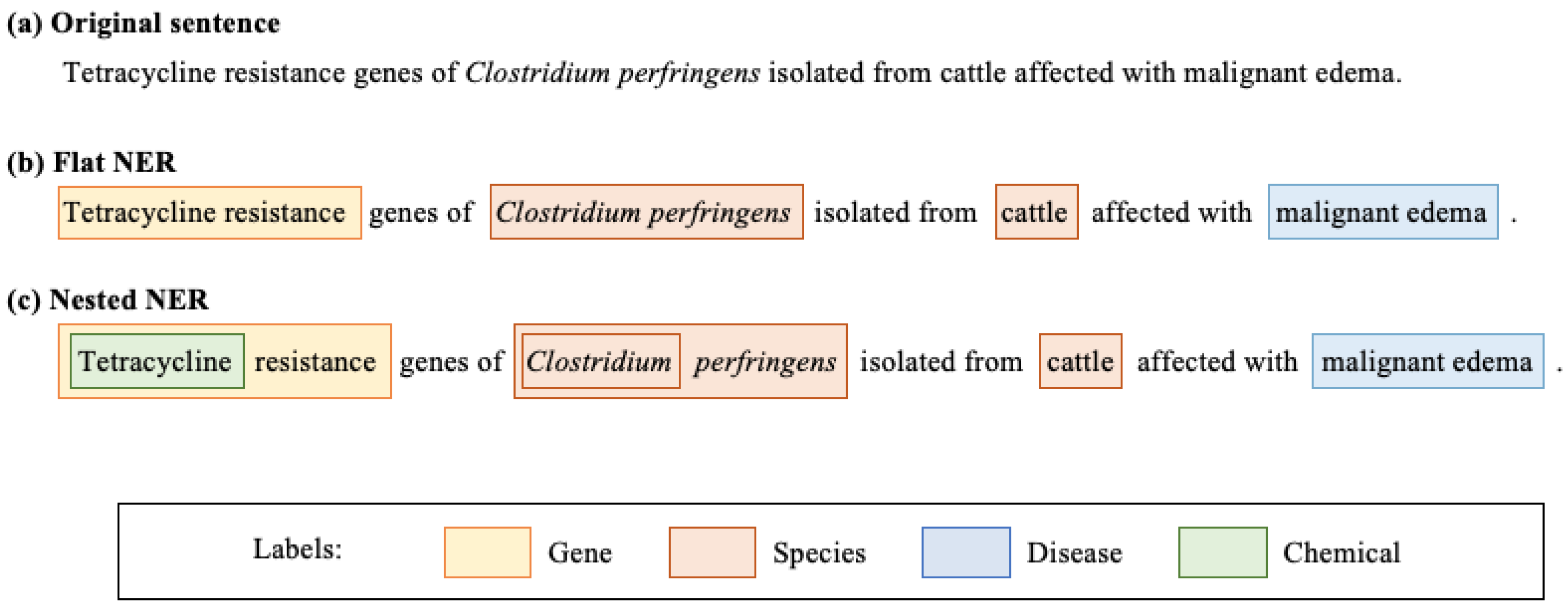 Biomedical Flat and Nested Named Entity Recognition: Methods ...