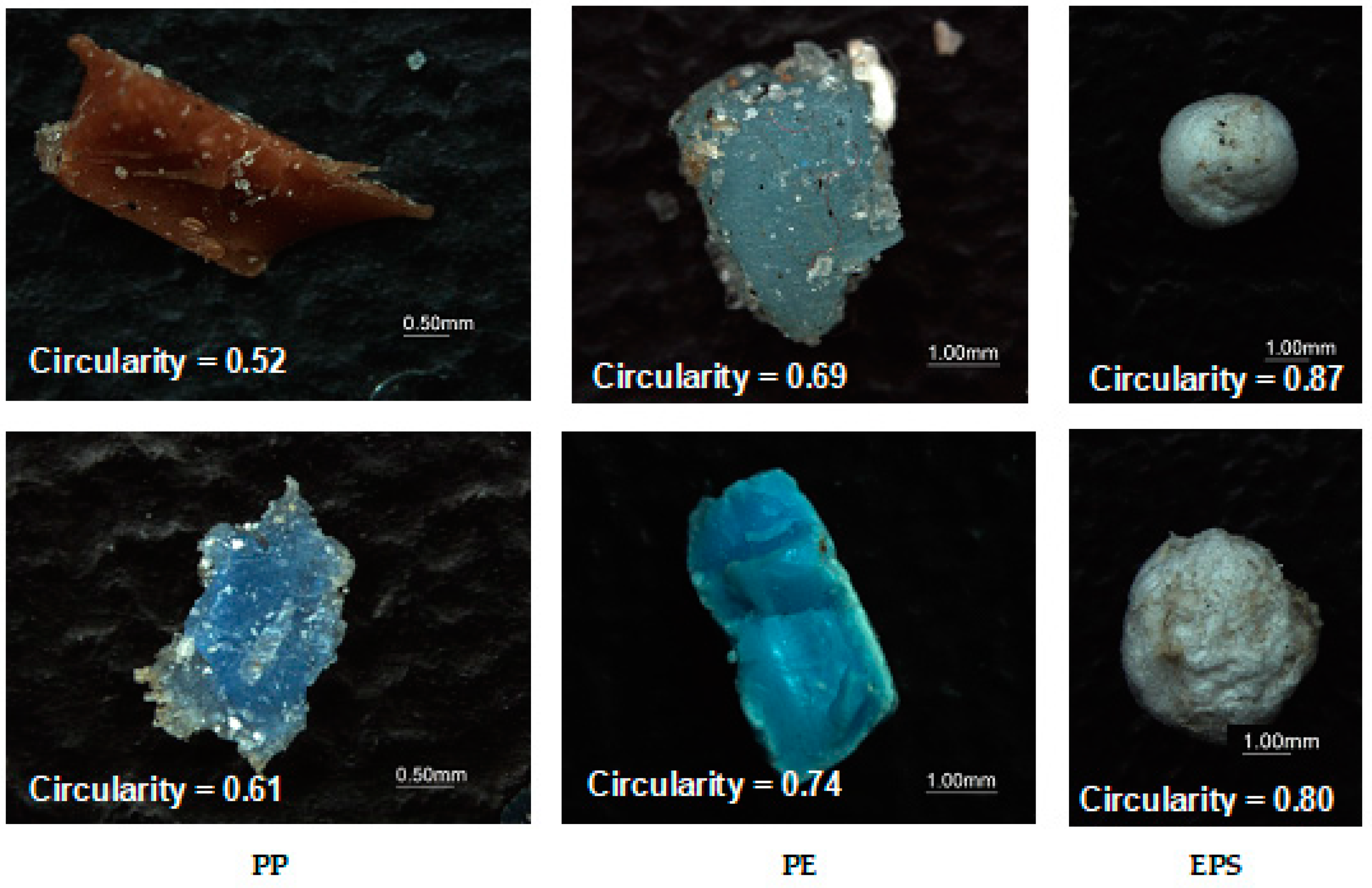 Applsci 14 09310 g017 Applsci 14 09310 g017