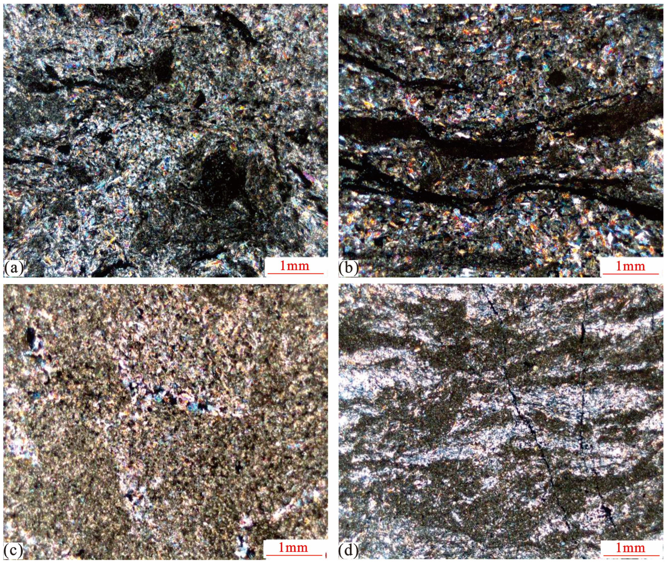 Applsci 14 09372 g003