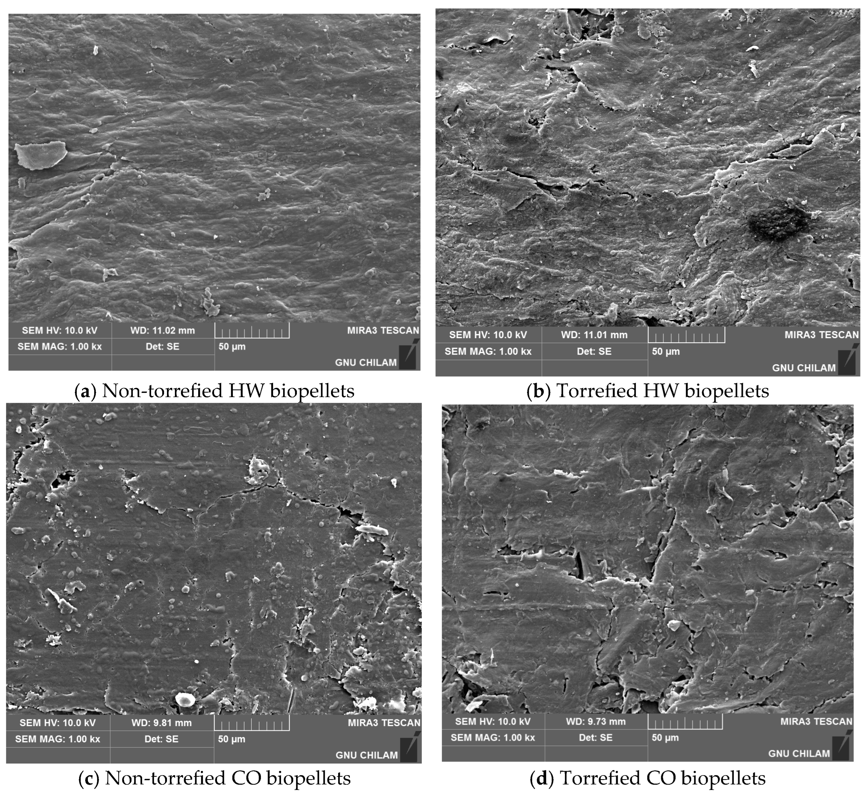 Applsci 14 09398 g013