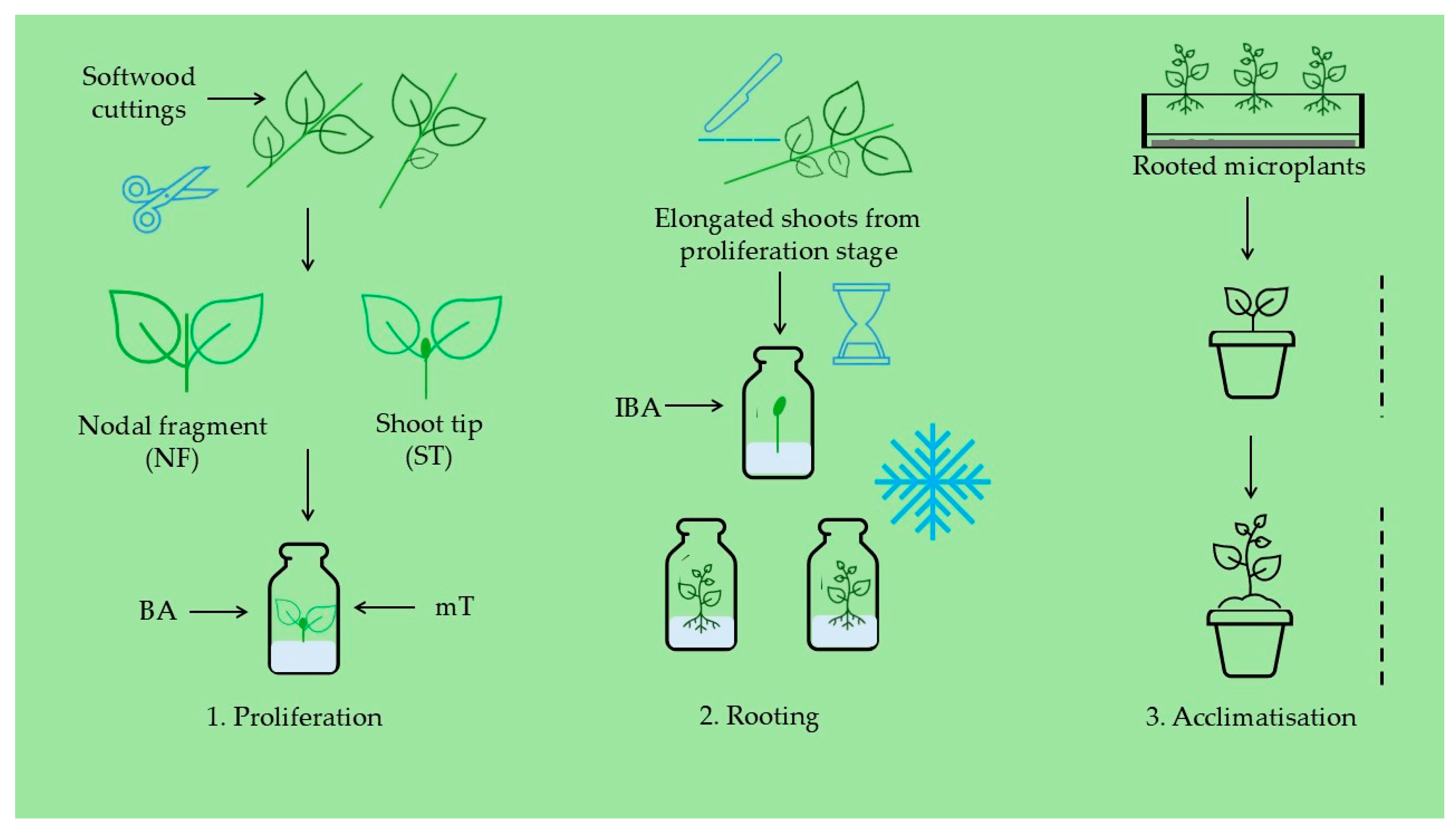 Applsci 14 09452 g001