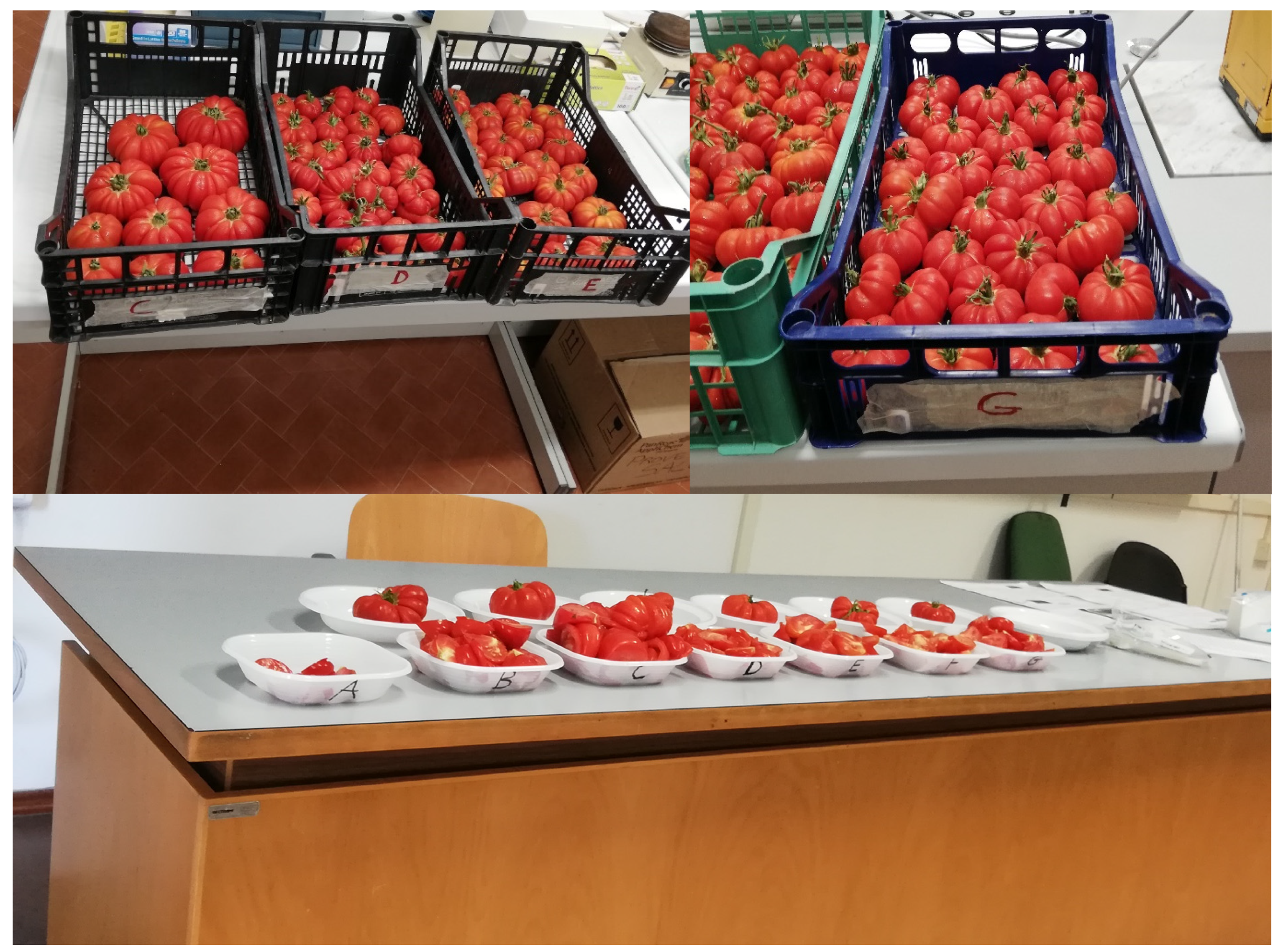 Applsci 14 09503 g002 Applsci 14 09503 g002