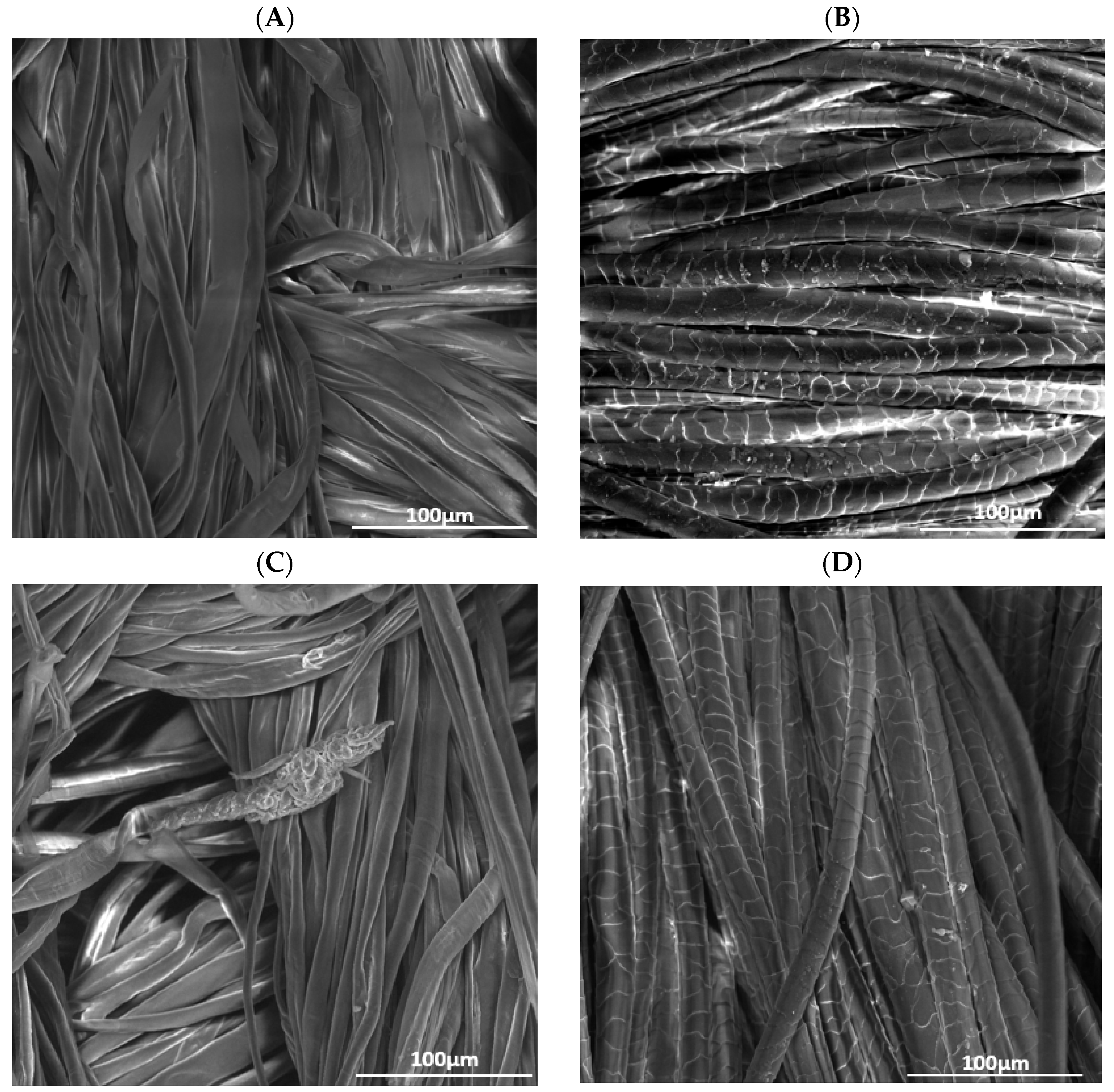 Applsci 14 09518 g001a