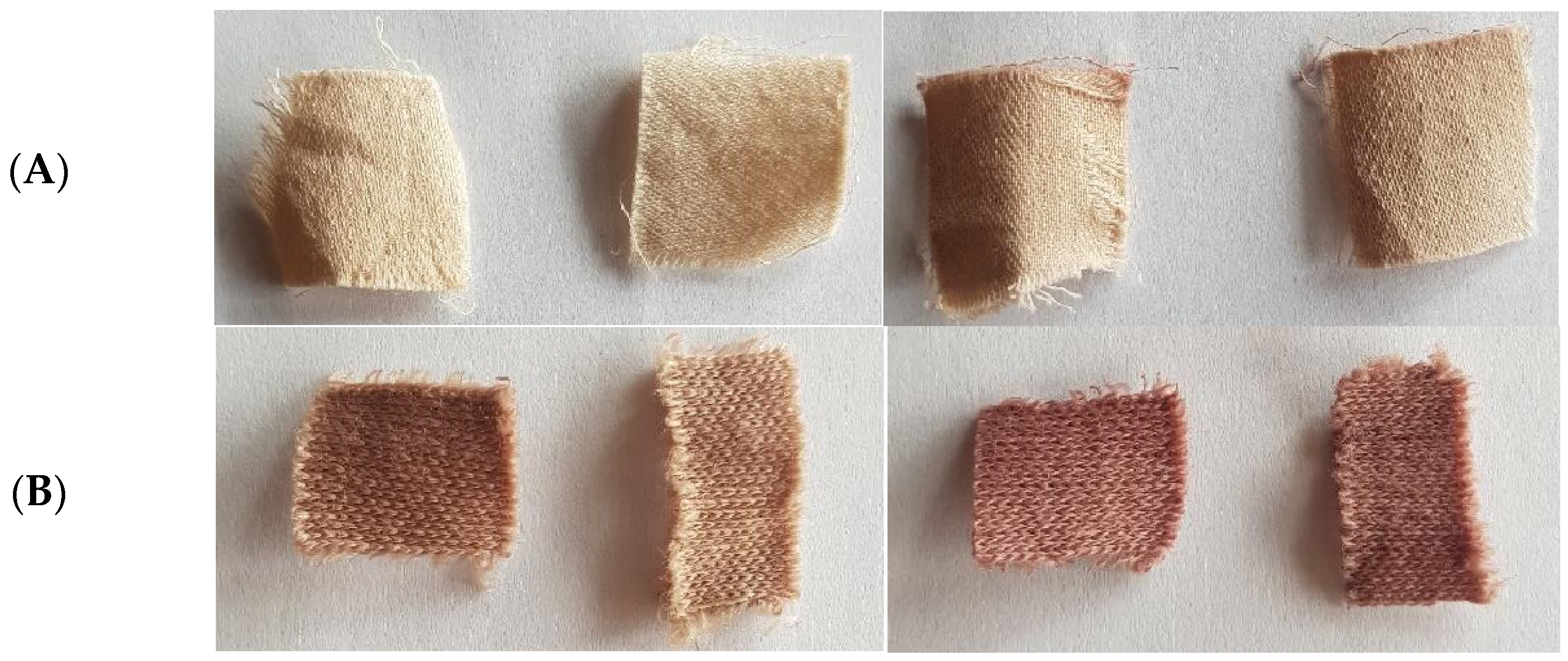 Applsci 14 09518 g006