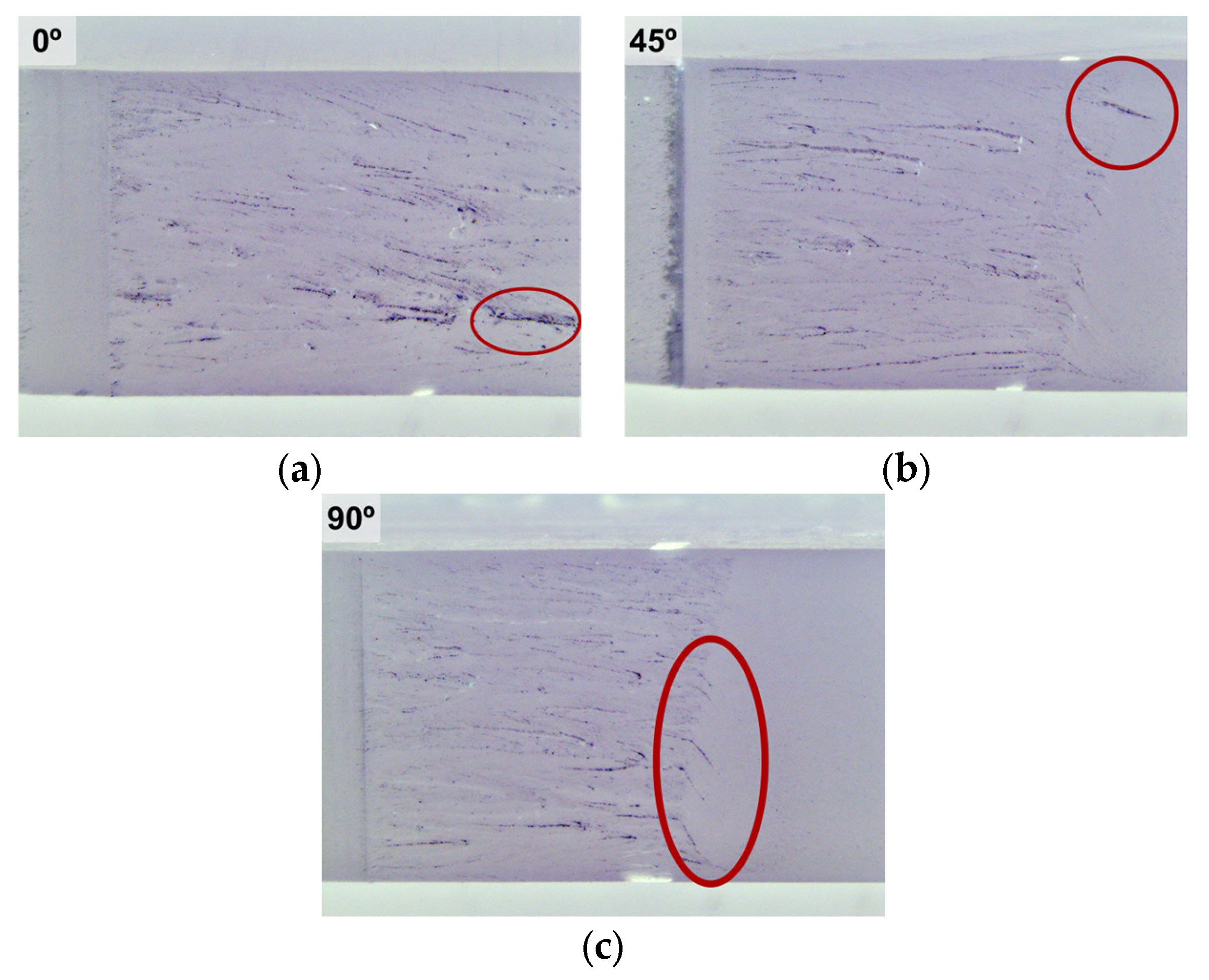 Applsci 14 09529 g005