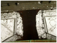 Applsci 14 09537 i001