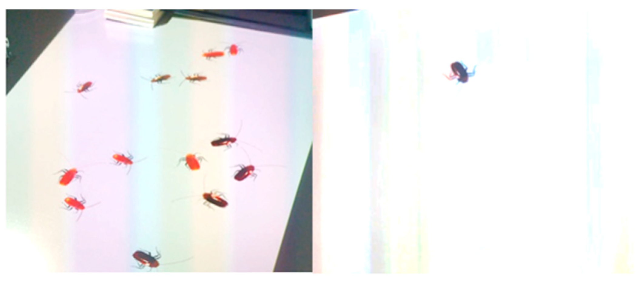 Applsci 14 09581 g001