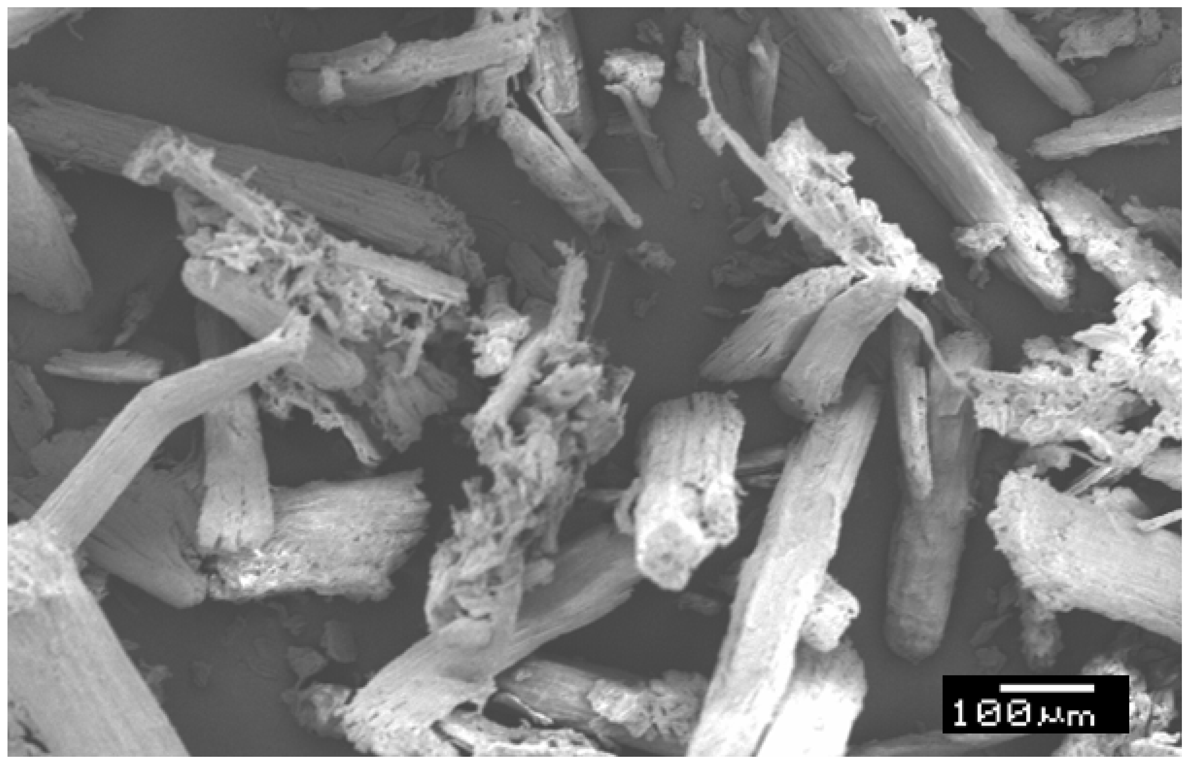 Applsci 14 09583 g002