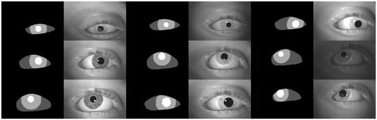 Applsci 14 09586 g0a1